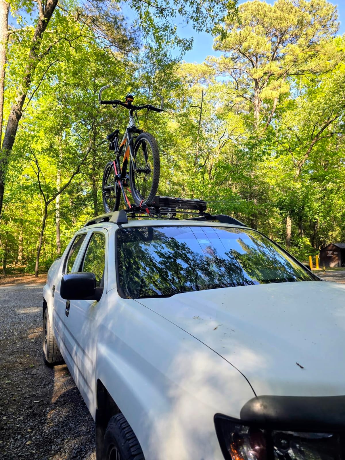 Swagman Upright Roof Mount Bike Rack – Rooftop Upright Bike Carrier for Secure Bicycle Transport customer photo 1