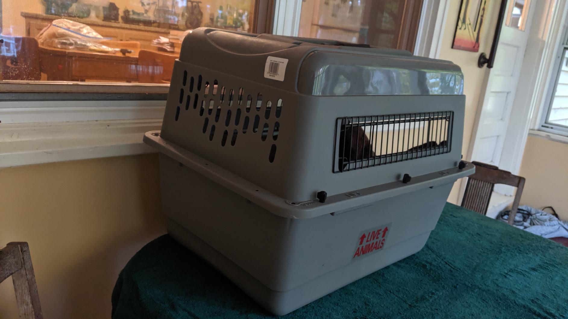 Petmate Sky Kennel for Air Travel, 48in Dog Crate for Pets 90 to 125lbs customer photo 2