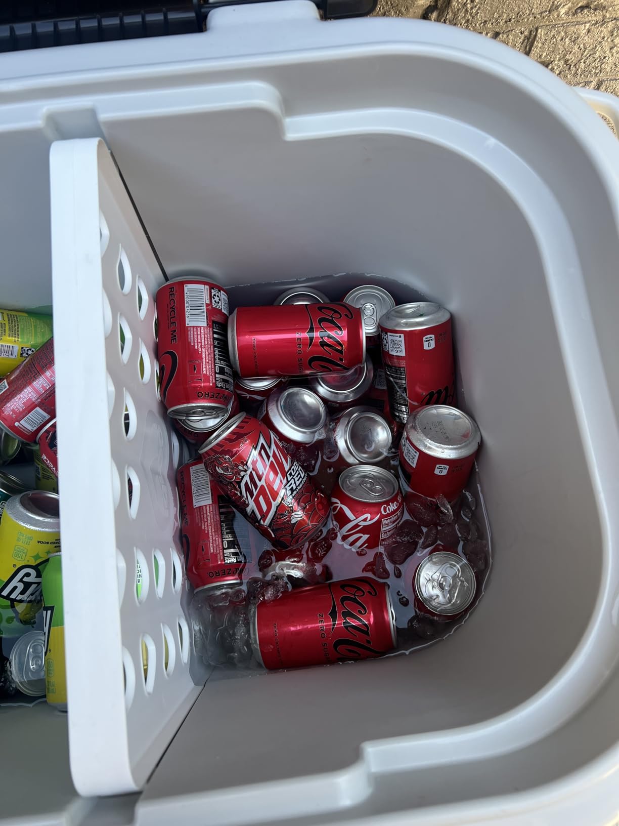 Igloo Hard Cooler | Polar & Party Bar Series | Insulated Ice Chests customer photo 2