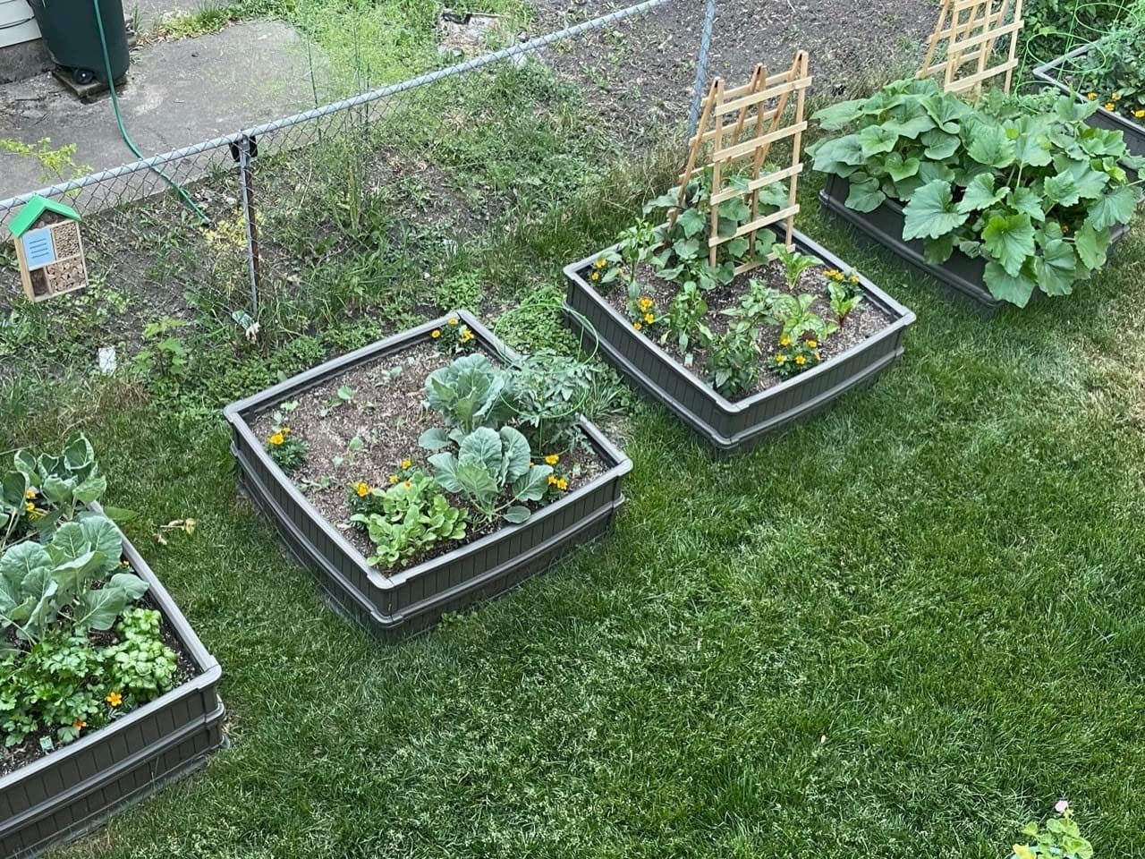 LIFETIME 60069 Raised Garden Bed Kit, 4 x 4', Brown customer photo 1