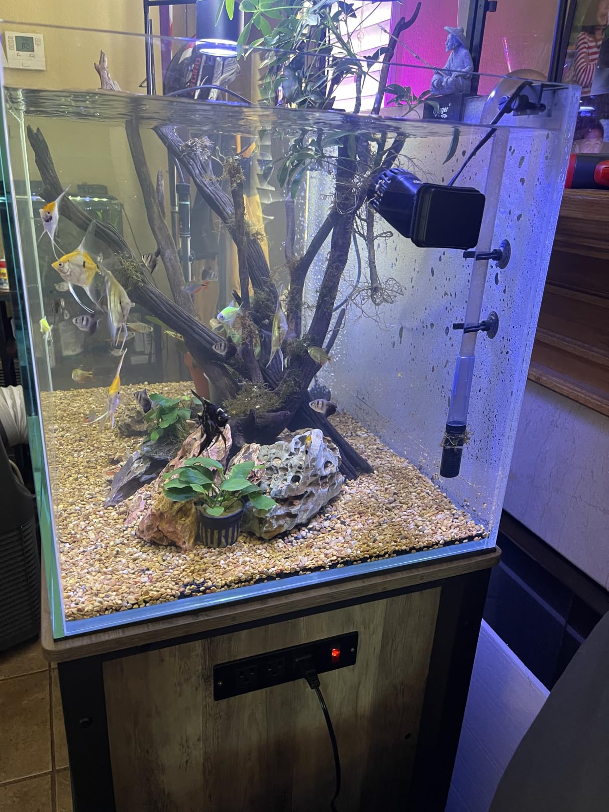 LANDEN Aquarium 60H 30 Gallon Ultra Clear Glass Rimless Fish Tank customer photo 1