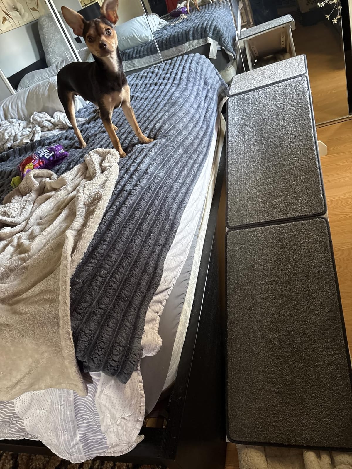 PetSafe CozyUp Bed Ramp - Supports Pets Back & Joints - High Traction Carpet Surface - Furniture-Grade Wood - Cherry or White Finish - Heavy Duty Bed Access Ramp - Cherry customer photo 1