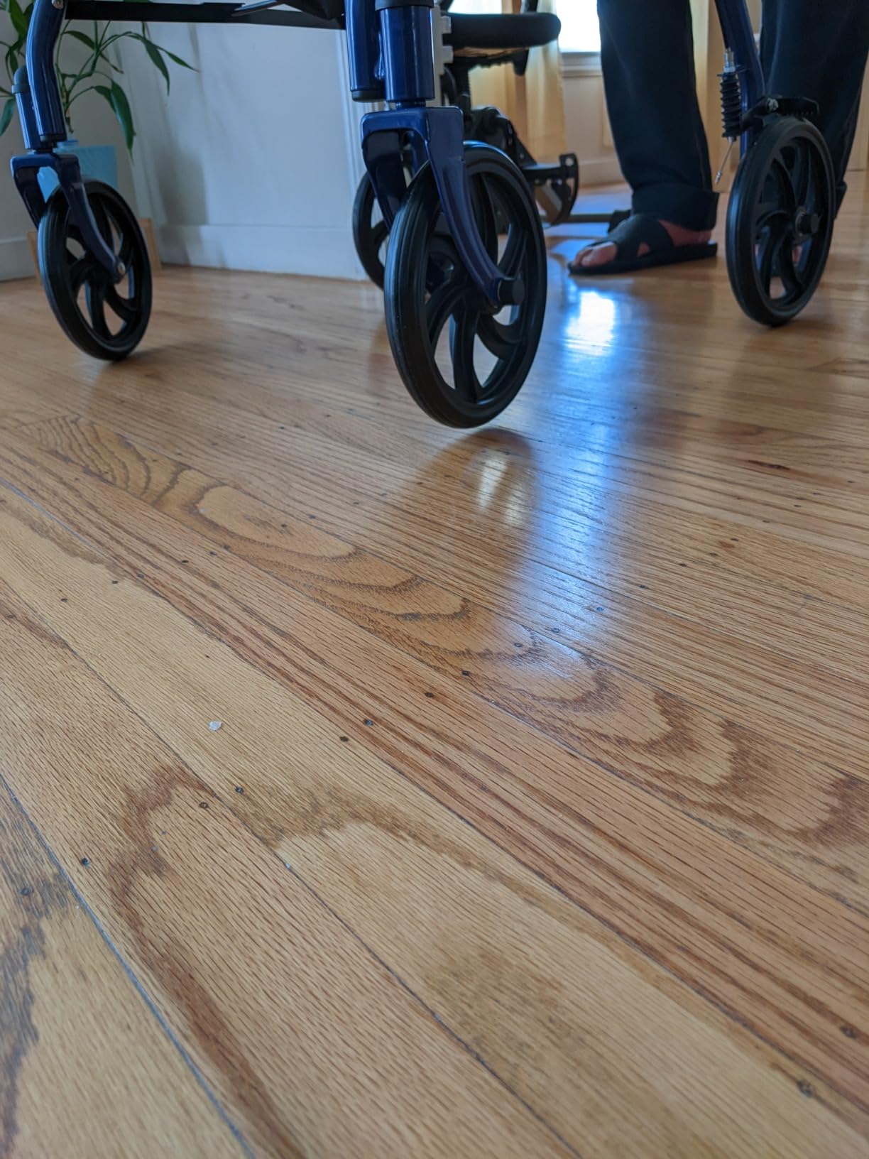 Drive Medical Rollator Walker with Seat, 7.5 Inch Wheels, Blue customer photo 2