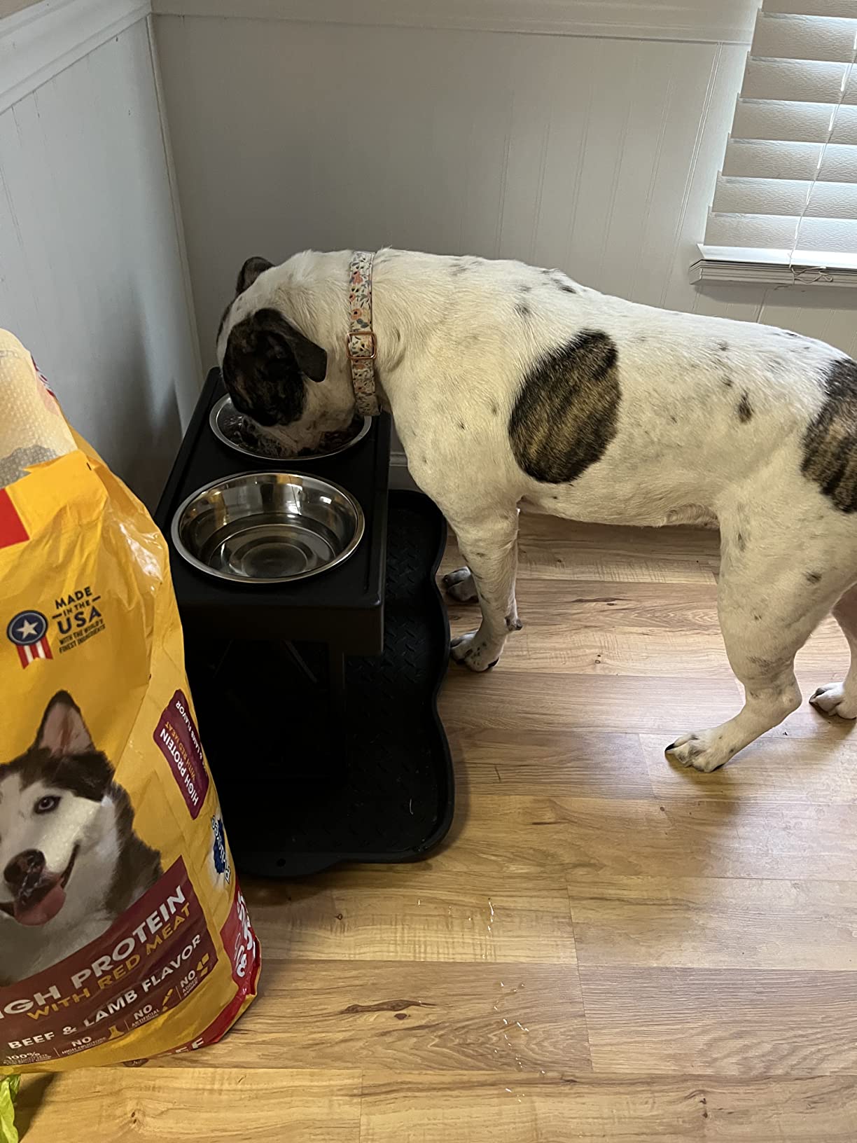 Pet Zone Designer Diner Elevated Dog Bowl Stand, 3 Adjustable Height Levels customer photo 1