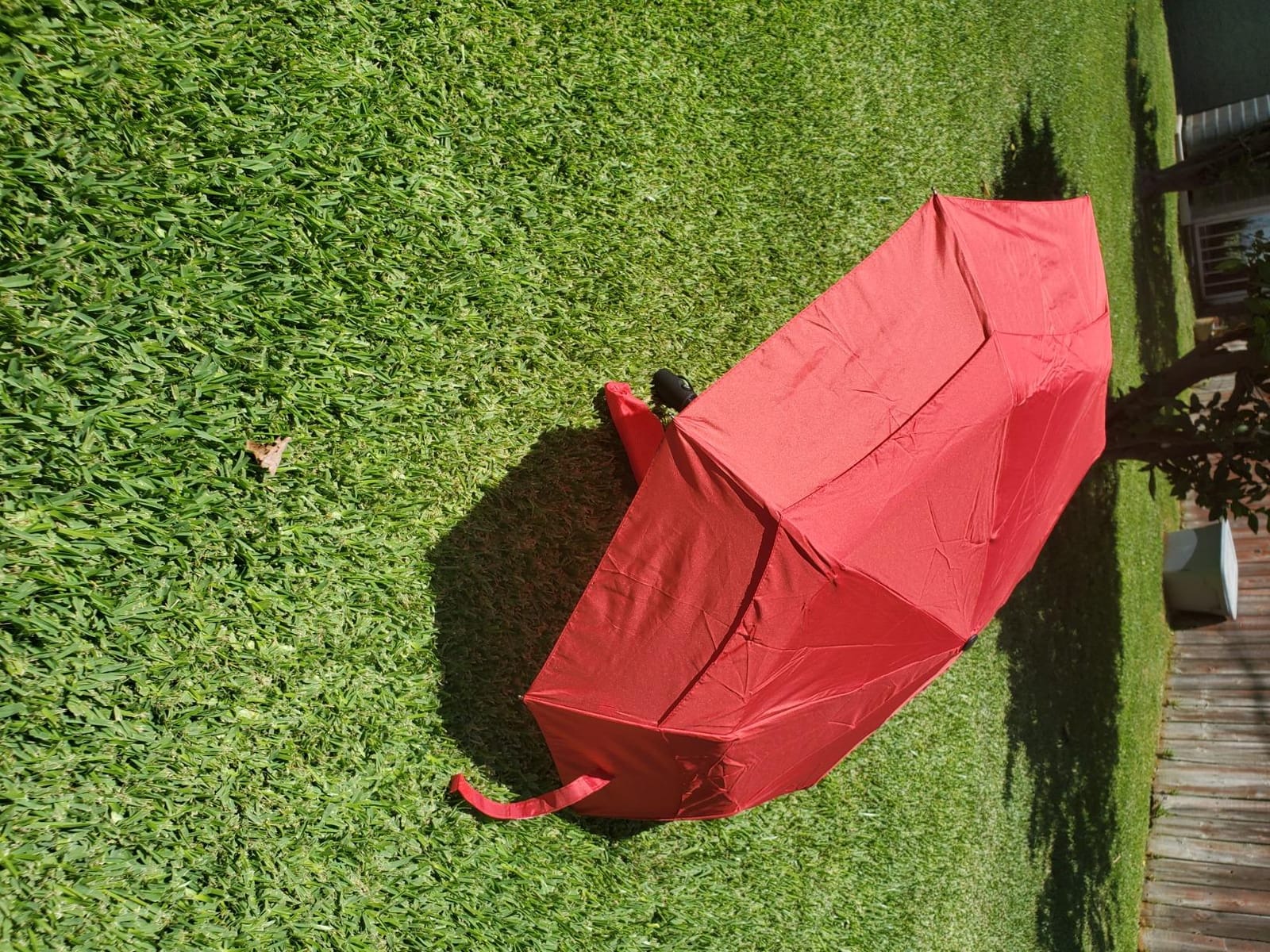 Windproof Travel Umbrella Auto Open Close, Compact 42