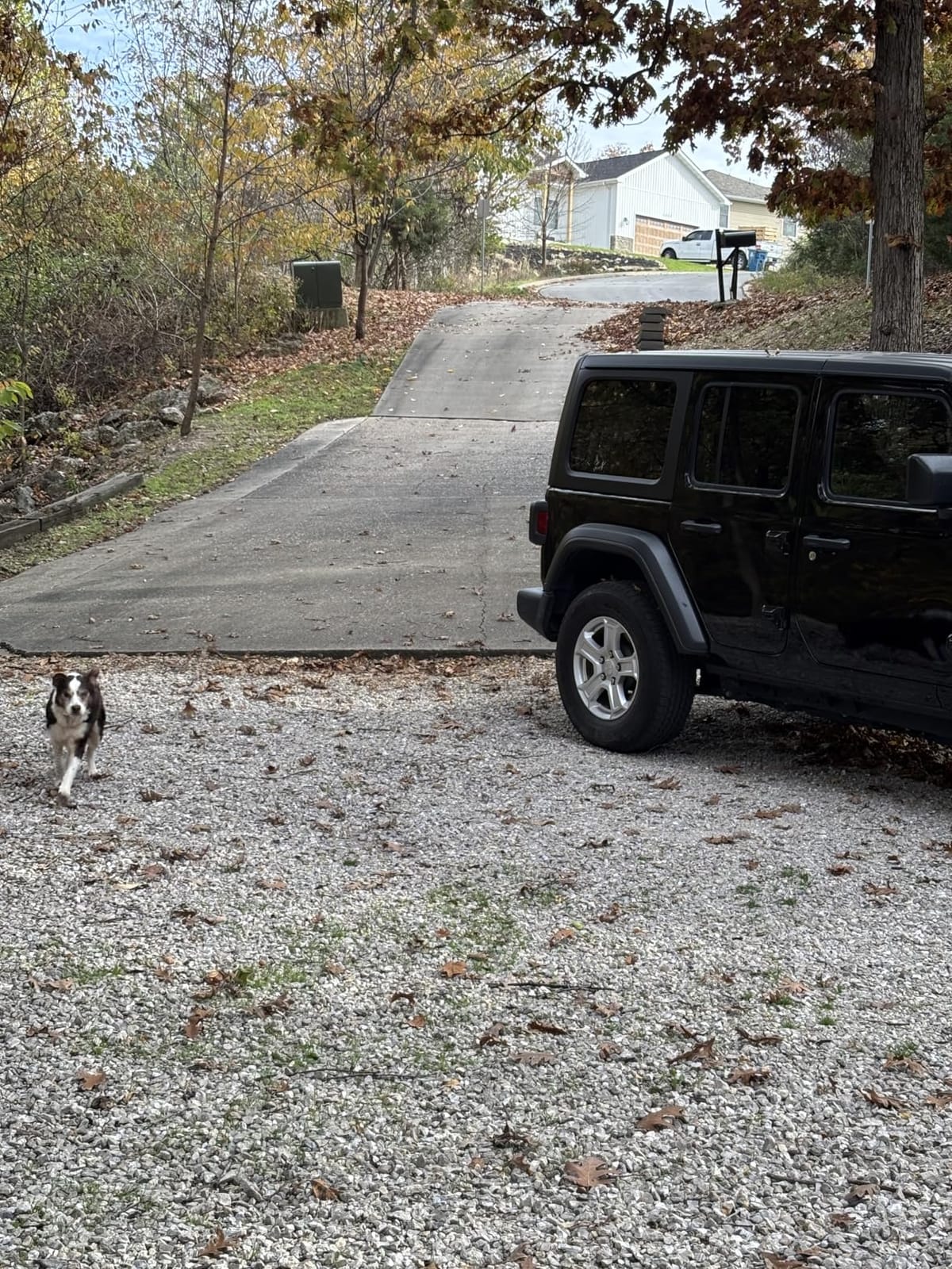 WORX 12 Amp Turbine Electric Leaf Blower for Daily Leaf Removal, WG520 customer photo 1