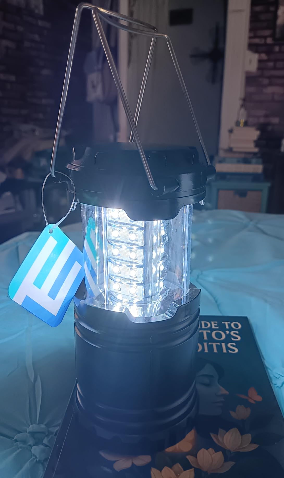 Etekcity LED Camping Lanterns, Battery Included, 4 Pack customer photo 2