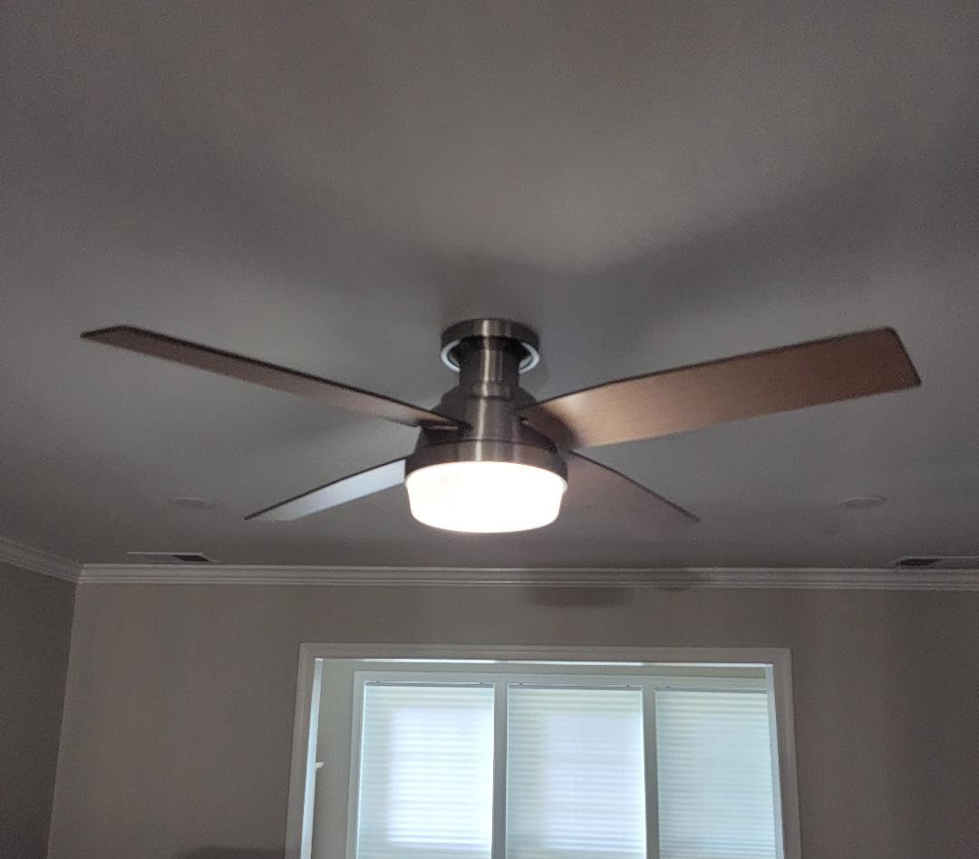Hunter Dempsey, Indoor, Ceiling Fan, Modern, Quiet, 44 inch, Fresh White customer photo 1