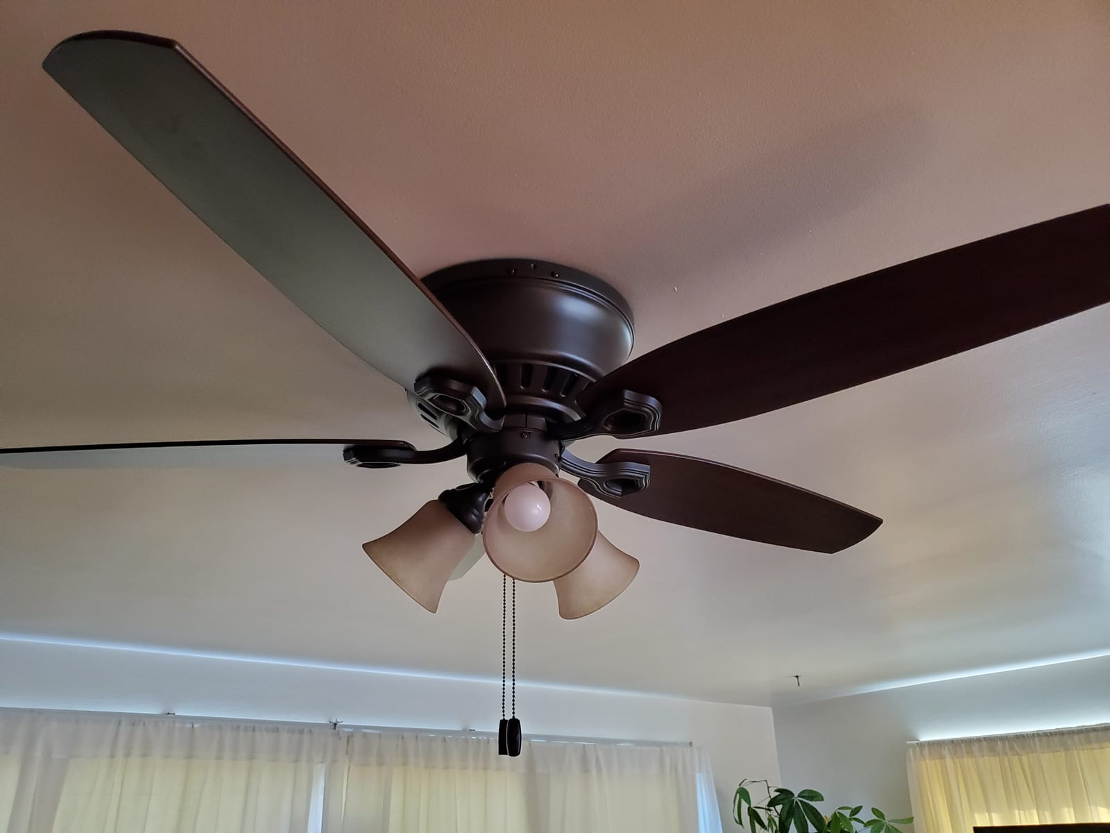 Hunter Builder, Indoor, Ceiling Fan, with LED Lights, 42 inch, New Bronze customer photo 2