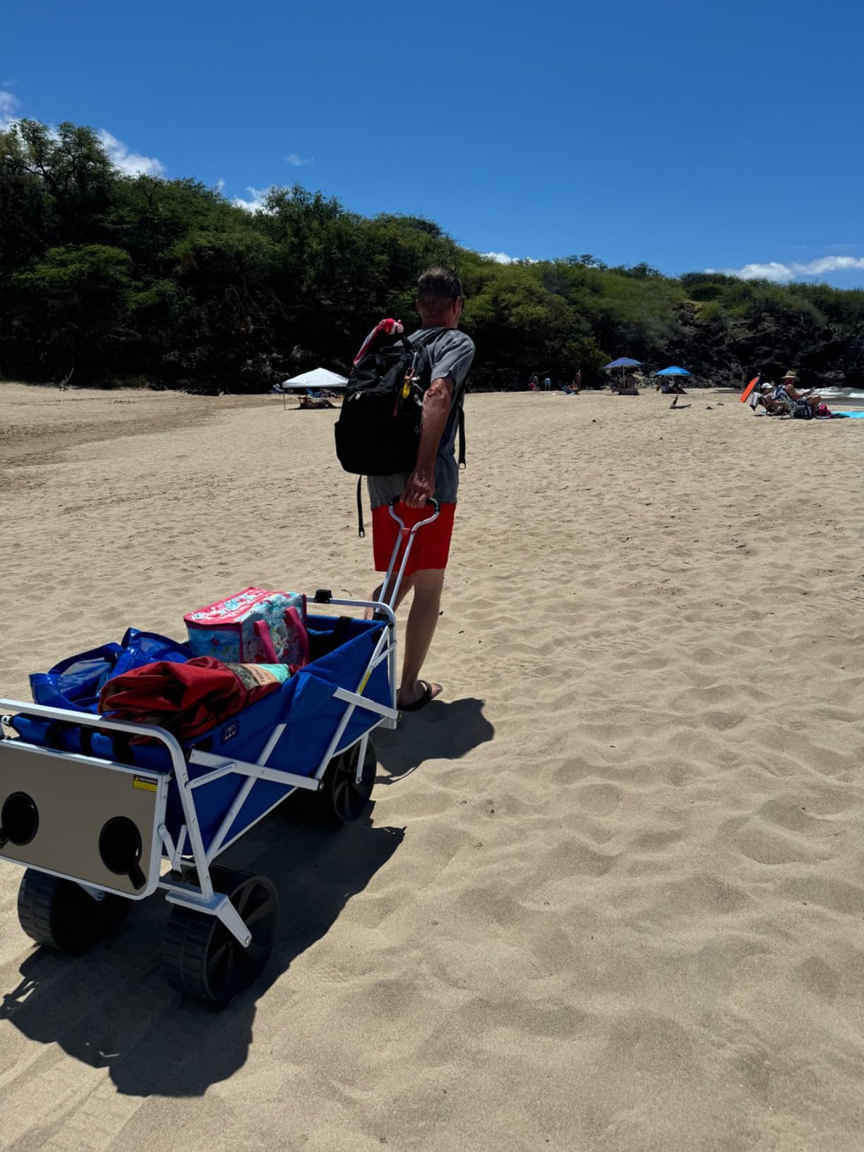 Mac Sports Heavy Duty Collapsible Folding All Terrain Utility Beach Wagon Cart, Blue/Black | Folding Outdoor Beach Garden Cart with All Terrain Wheels customer photo 2