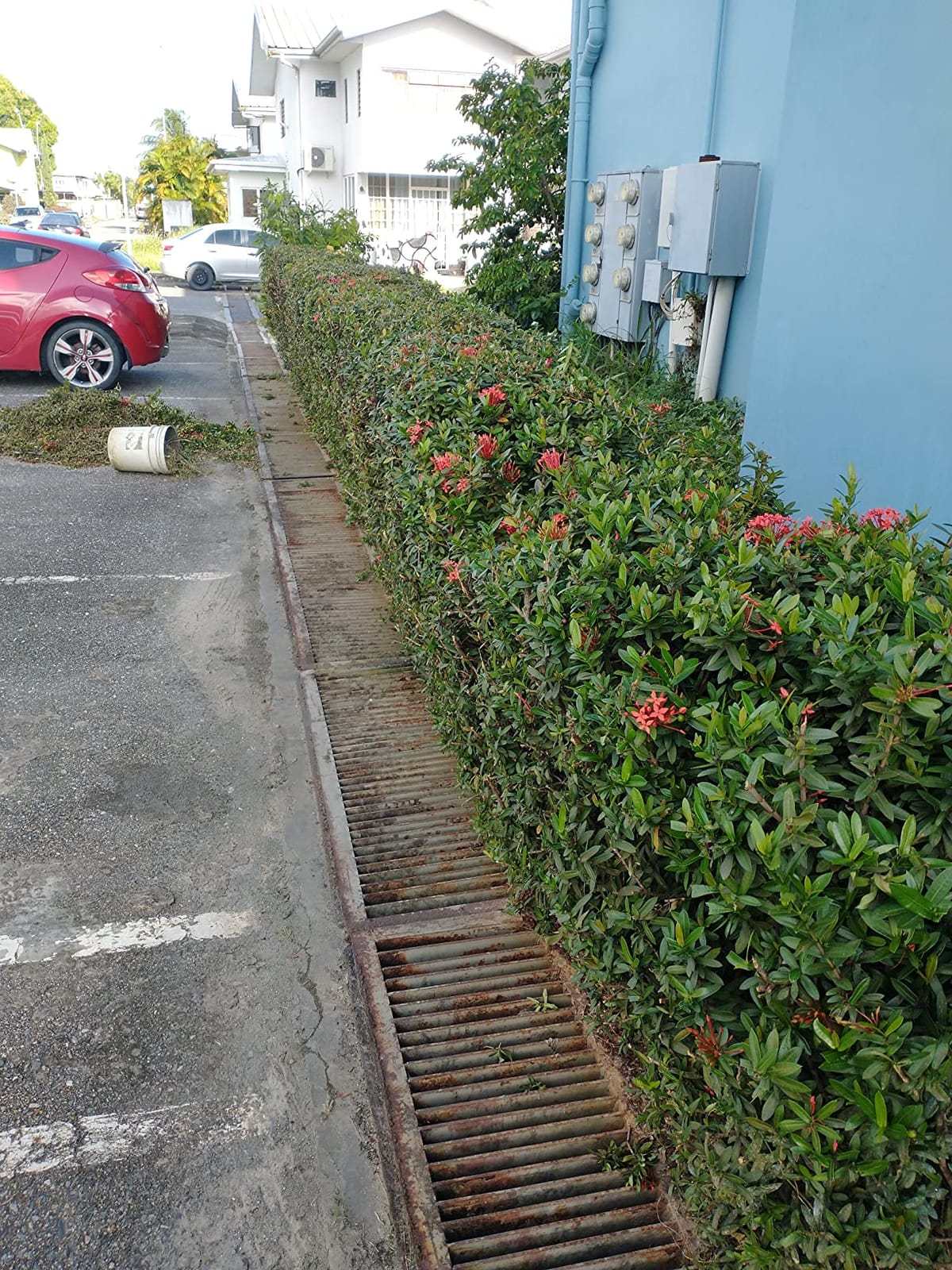 Milwaukee Electric Tools 2726-20 FUEL Hedge Trimmer customer photo 2