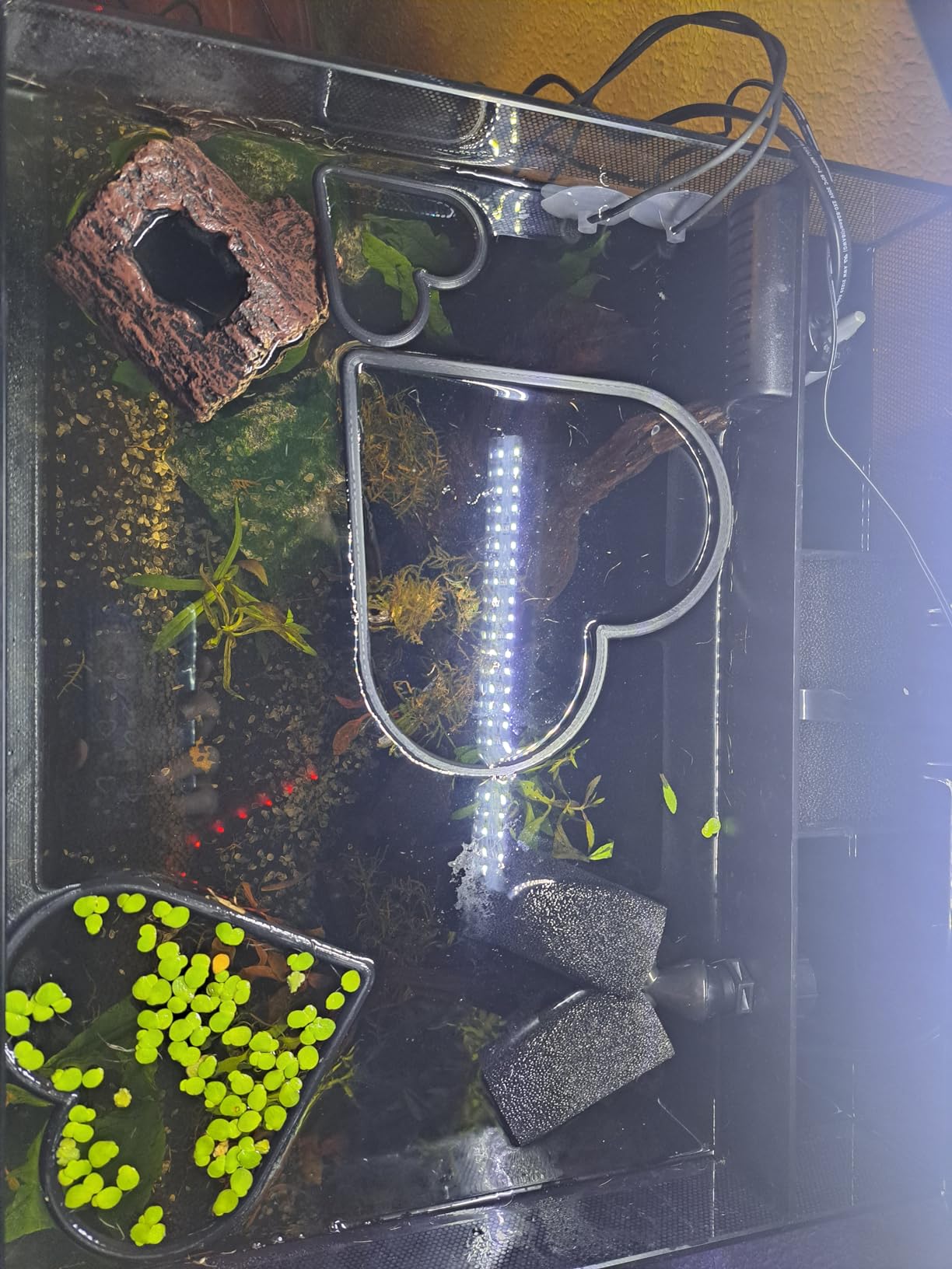 Fluval Flex 57 - 15 Gallon Nano Glass Aquarium Kit customer photo 2