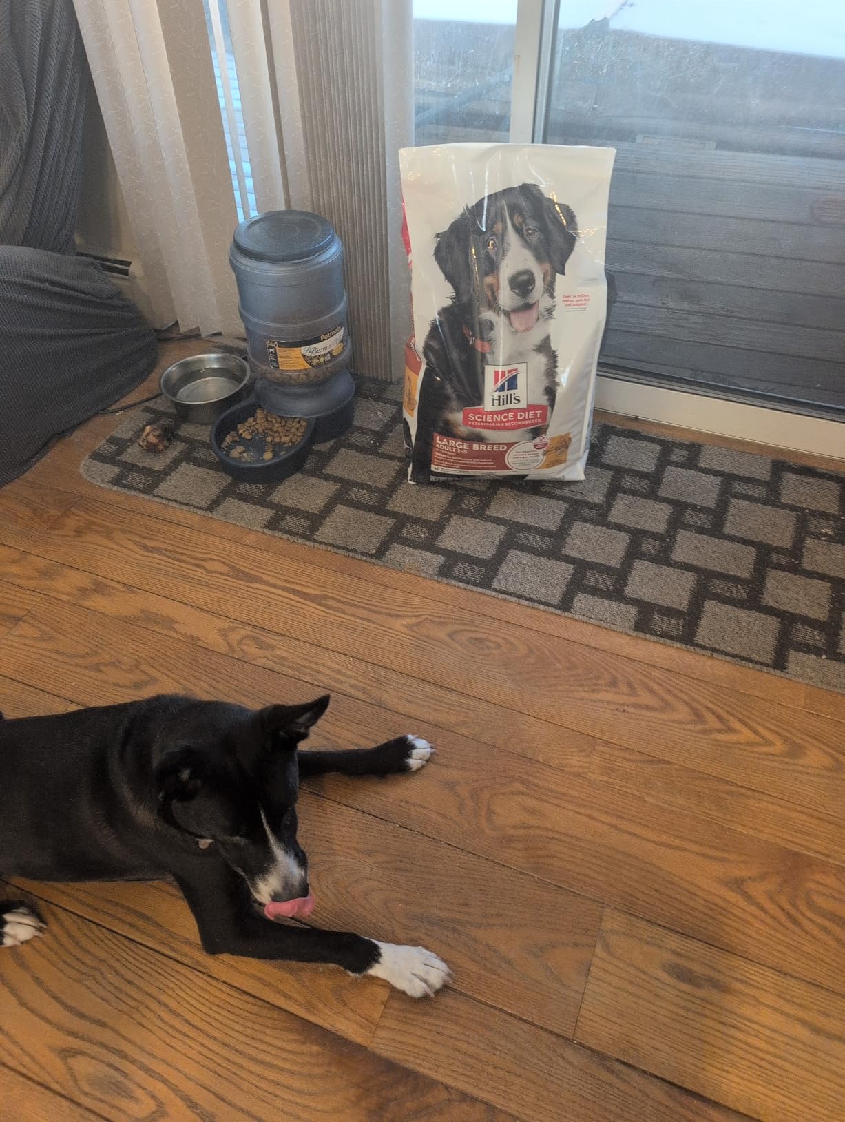 Hill's Science Diet Large Breed Dry Dog Food customer photo 1