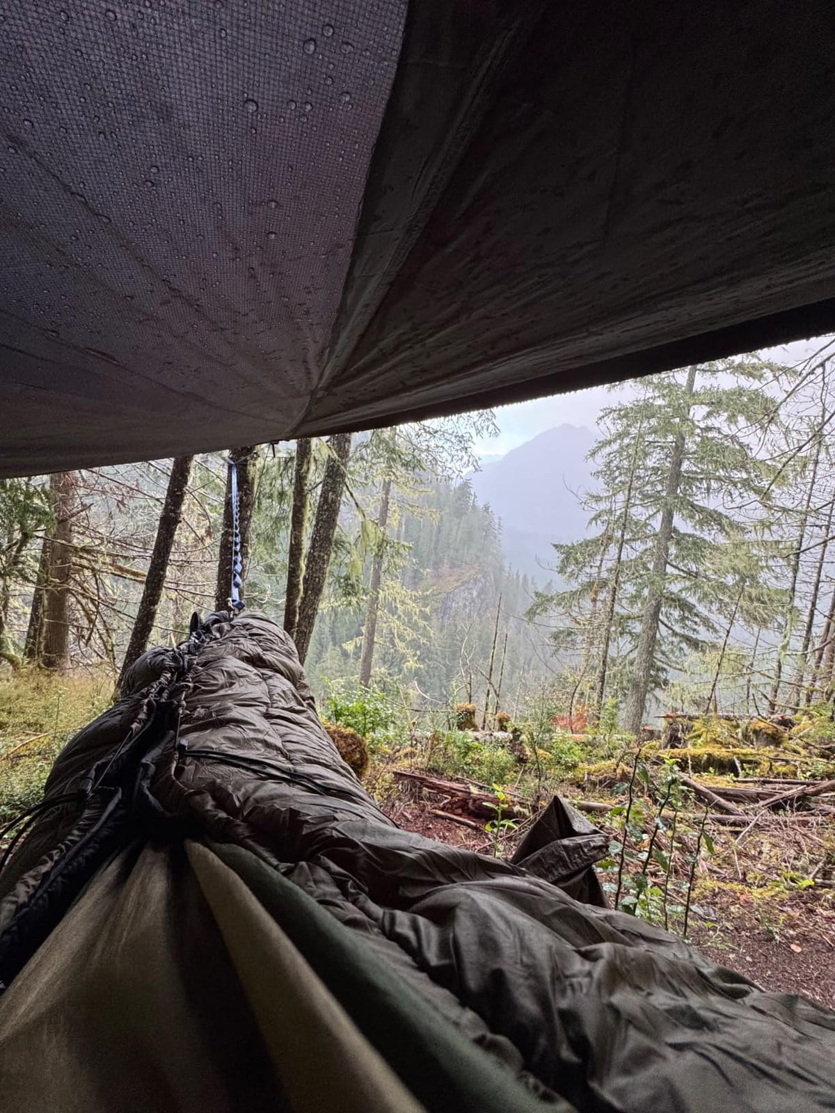 Waterproof Hammock Rain Fly [12ft x 9ft] - Portable Large Camping Tarp - Premium Lightweight Ripstop Nylon Cover - Fast Set Up + Accessories - A Camping Gear Essential! 12x9 ft HEX Shape customer photo 2