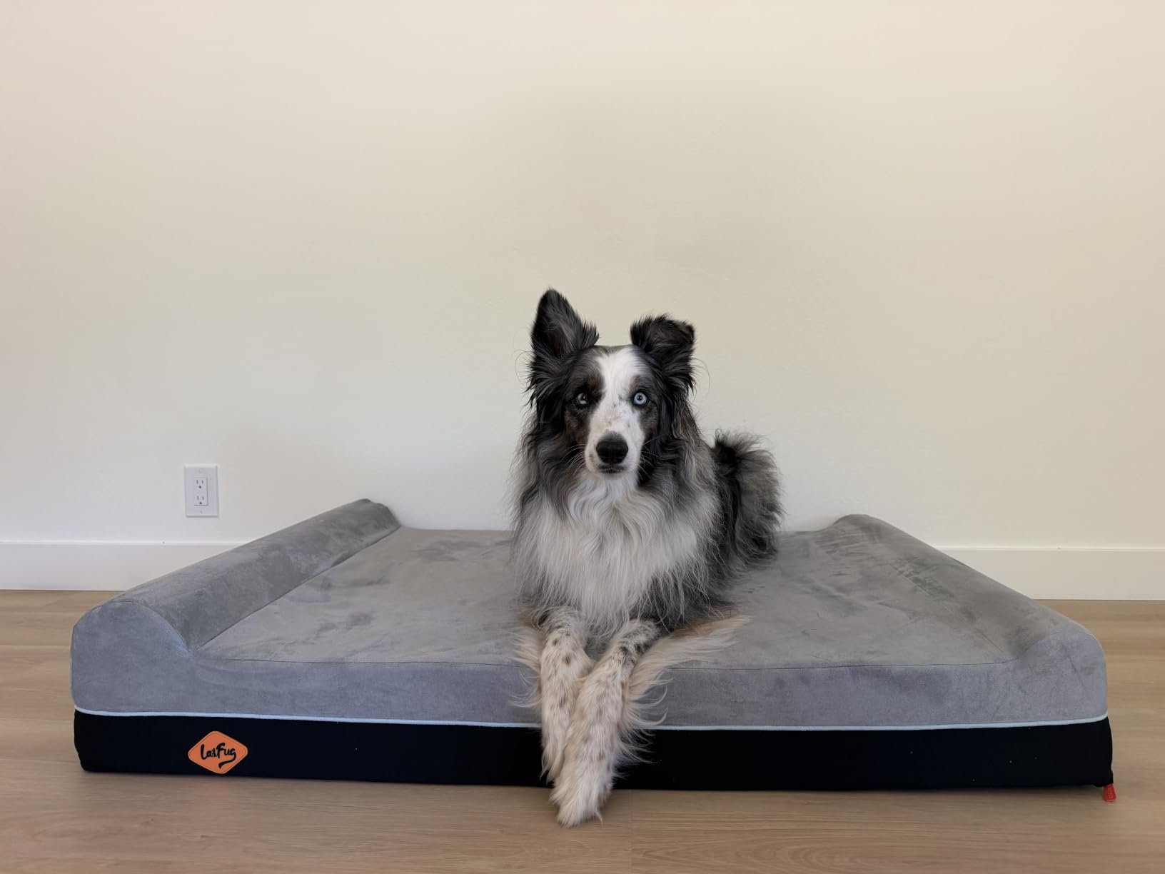 Laifug Orthopedic Dog Bed, Slate Grey 50''x36''x10'', Memory Foam customer photo 1