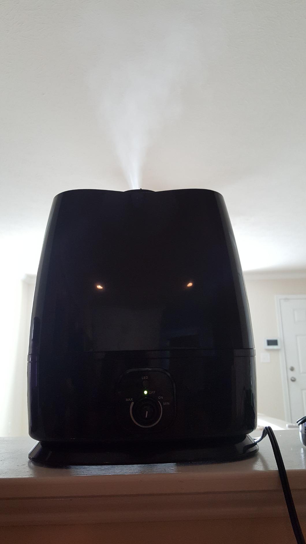 Everlasting Comfort 6L Large Humidifier for Bedroom, 28 dB Cool Mist customer photo 2