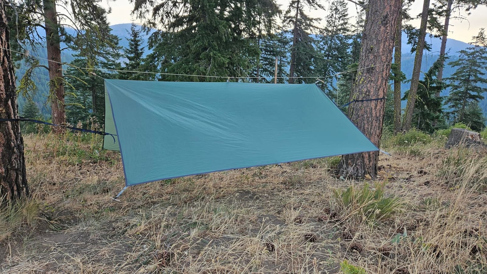 REDCAMP Hammock Rain Fly Camping Tarp Waterproof 10x10ft Easy Setup Cover customer photo 1