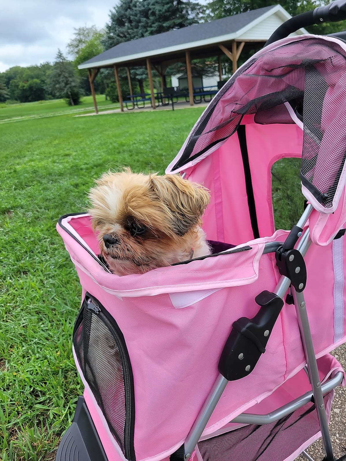 Magshion 3-Wheel Pet Stroller for Small/Medium Dog Cat, Up to 33lbs, Pink customer photo 1