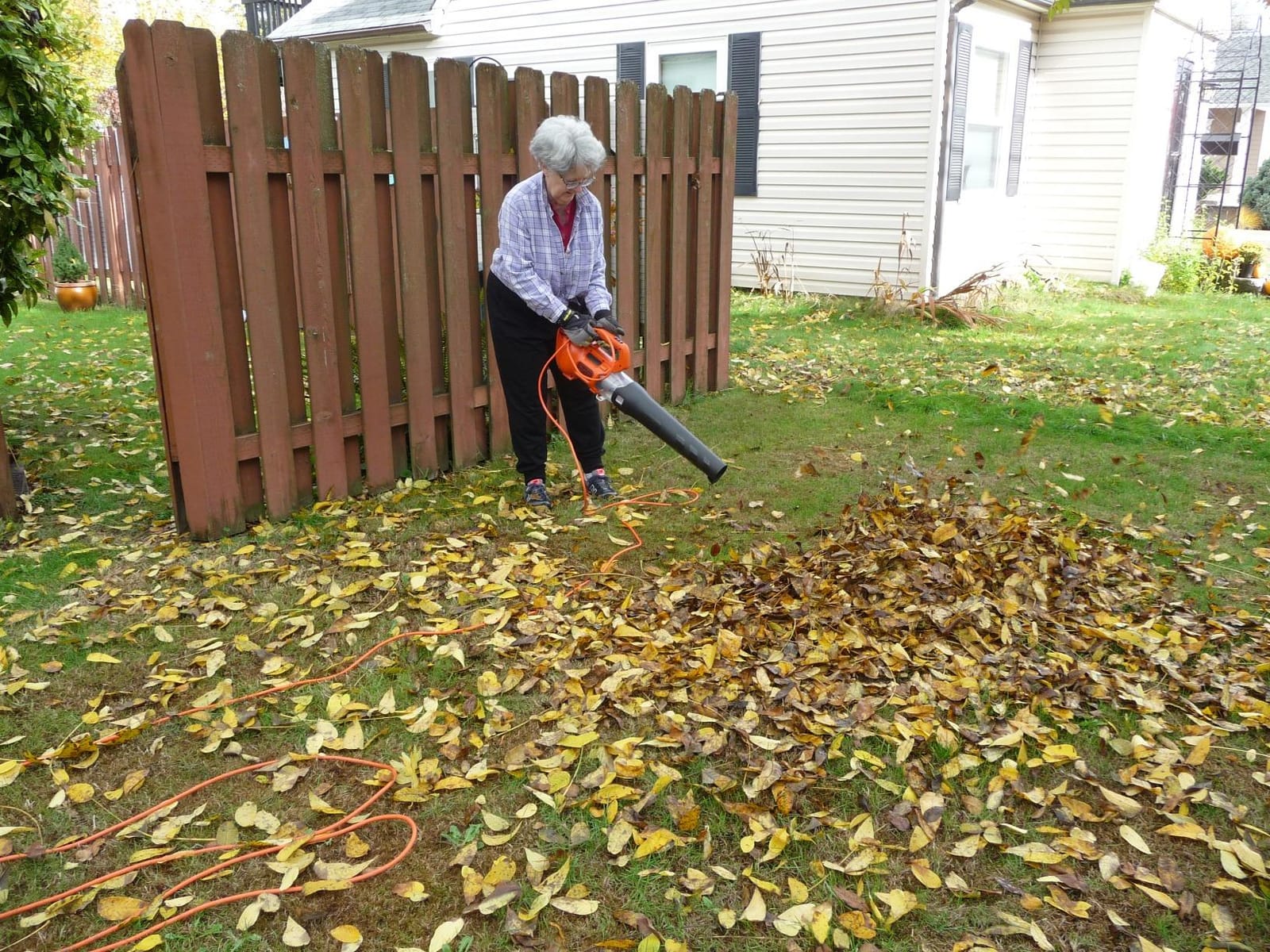 BLACK + DECKER Electric Leaf Blower, Hand Held Blowers for Lawn Care, Up to 450 CFM and 140 MPH Power, Axial, Lightweight, Corded (BEBL750) customer photo 1