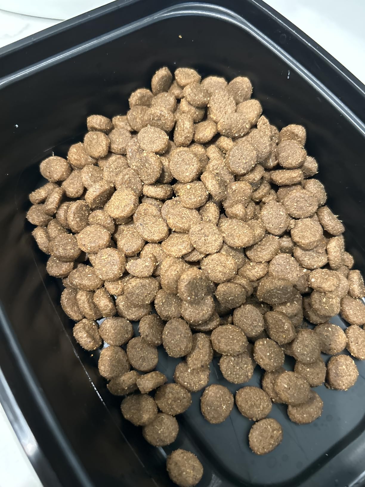 Taste of the Wild High Prairie Adult Dry Dog Food, Roasted Bison, 28lb customer photo 1