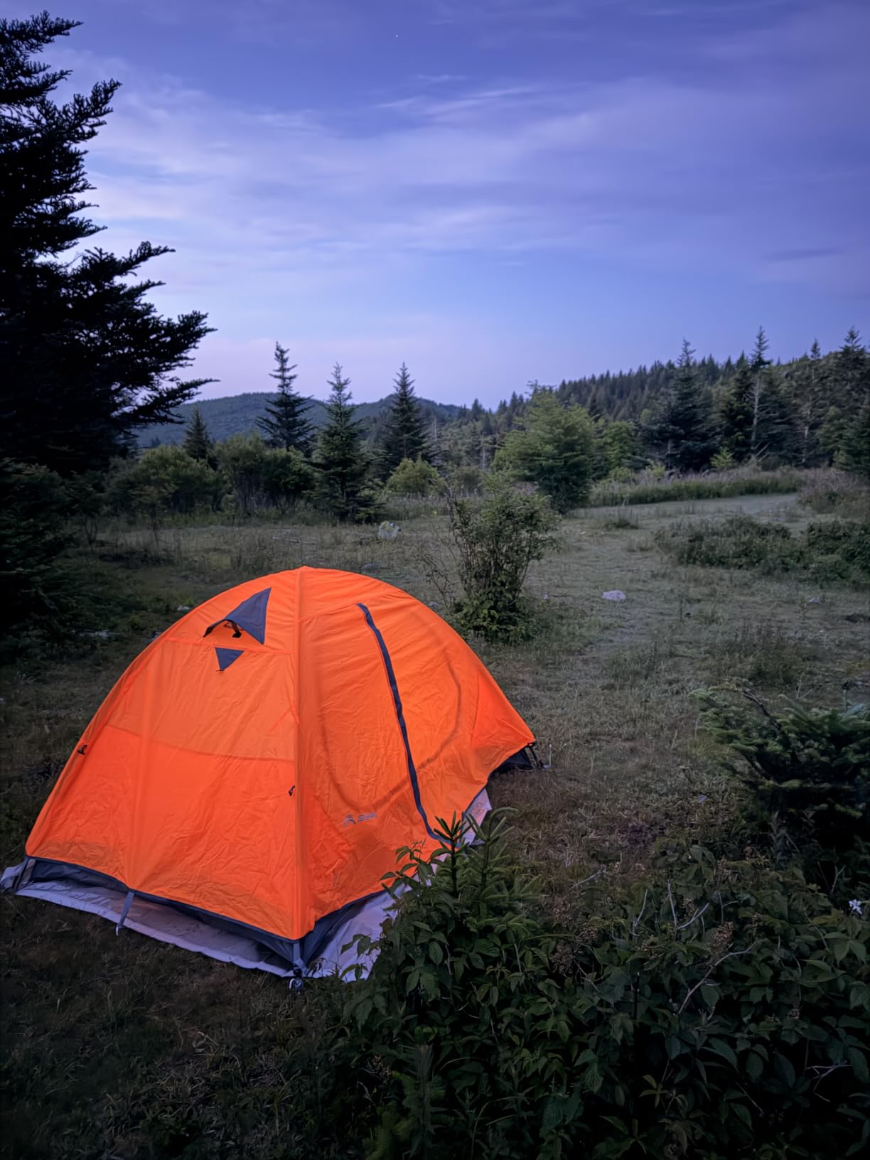 BISINNA 2/4 Person Camping Tent Lightweight Waterproof Backpacking Tent customer photo 1