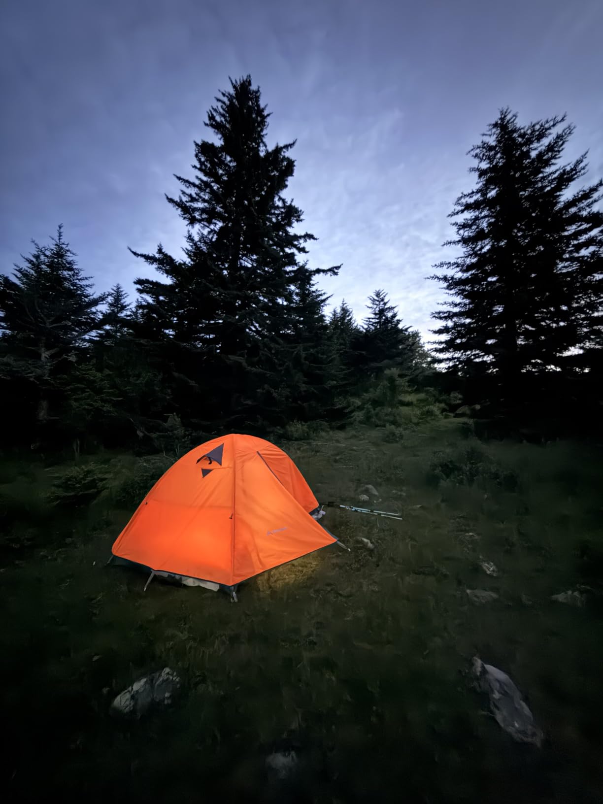 BISINNA 2/4 Person Camping Tent Lightweight Waterproof Backpacking Tent customer photo 2