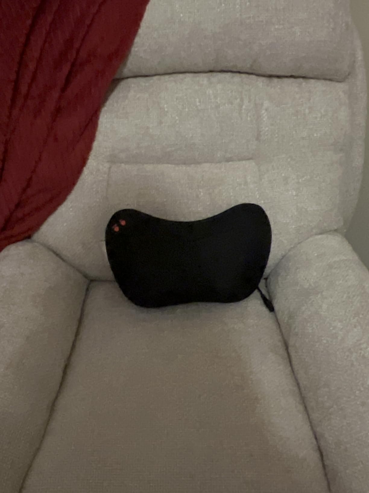 Papillon Back Massager with Heat,Shiatsu Pillow for Body Pain Relief Gray customer photo 2