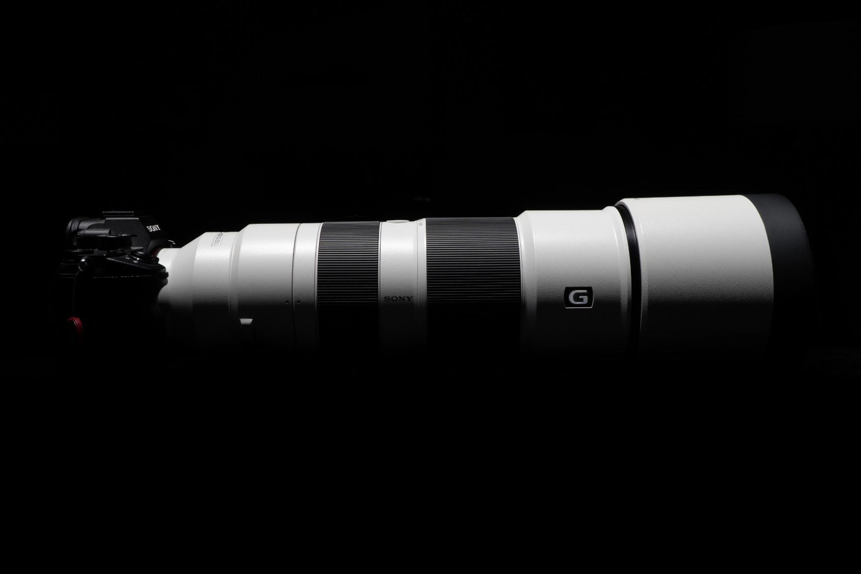 Sony FE 200-600mm f/5.6-6.3 G OSS Super Telephoto Zoom Lens customer photo 1