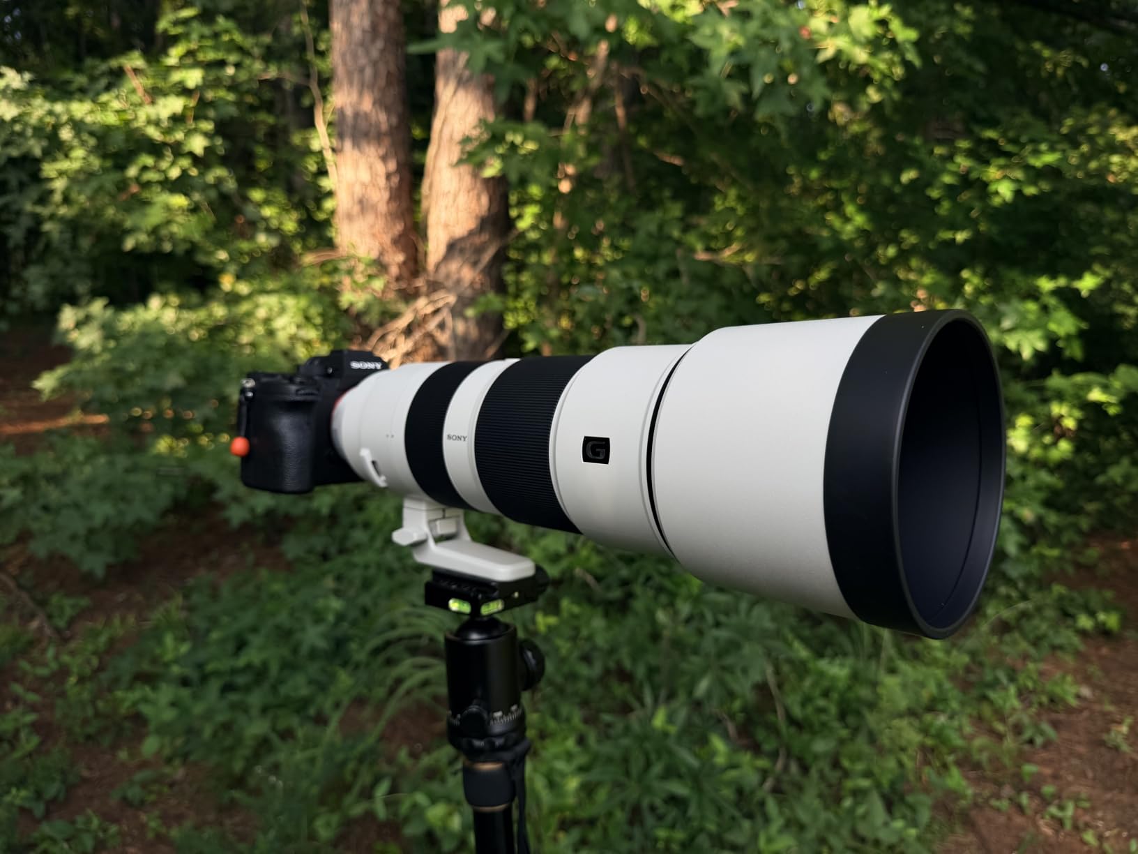 Sony FE 200-600mm f/5.6-6.3 G OSS Super Telephoto Zoom Lens customer photo 2