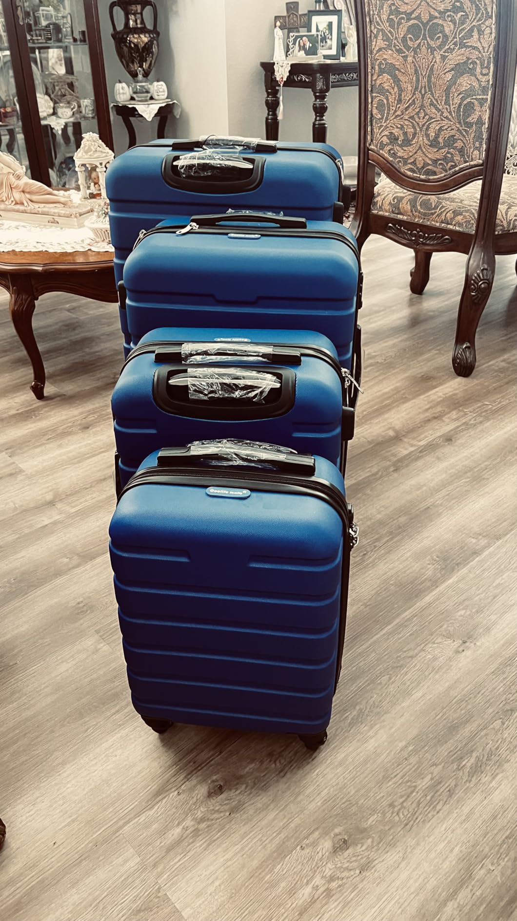 Coolife Luggage Set, Lightweight Durable Hardshell, 4 piece, Sakura Pink | suitcase set with 360° Spinner Wheels, TSA-approved Lock, Checked Family Travel, 16/20/24/28 Inch customer photo 1