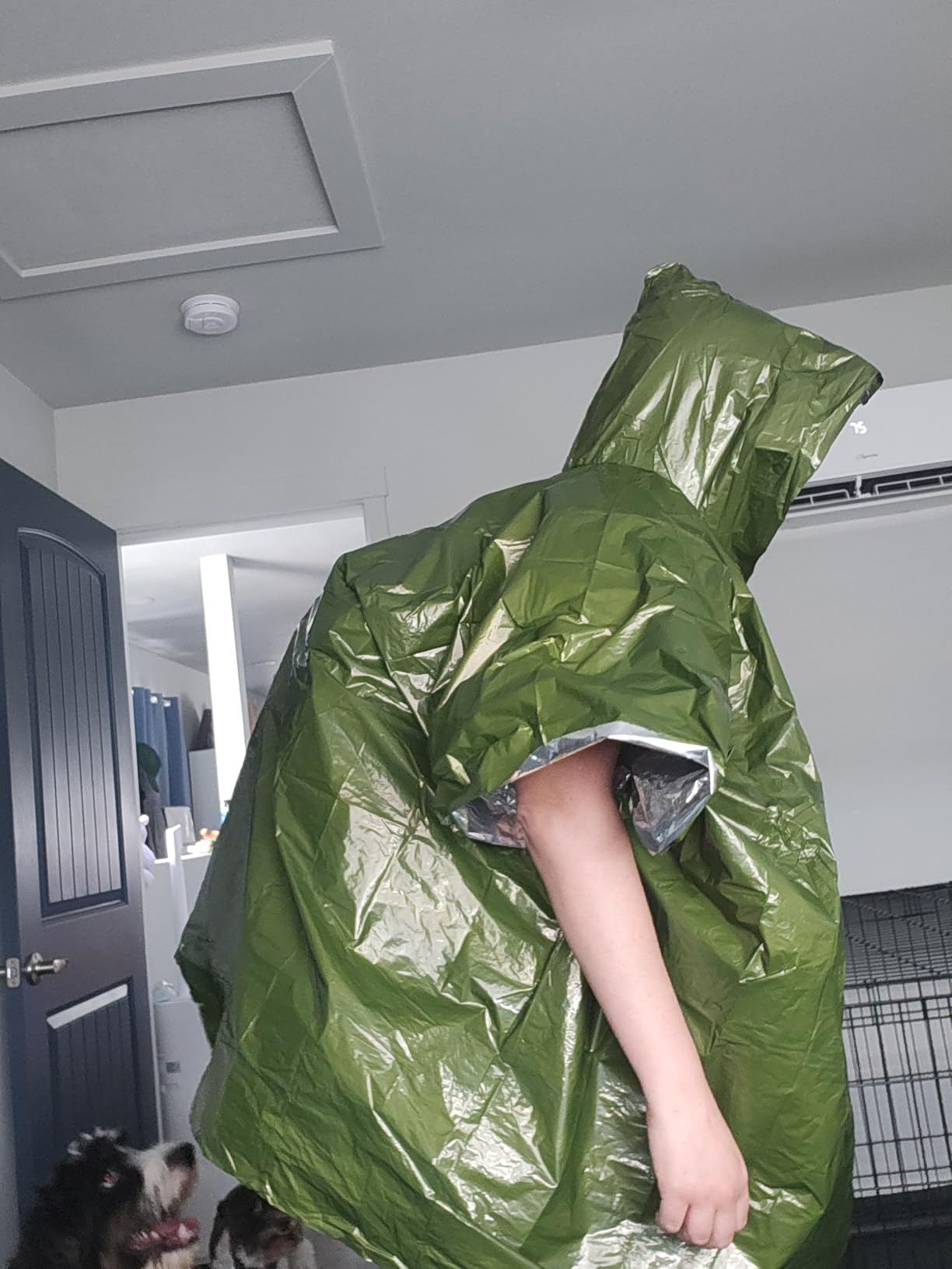 PREPARED4X Emergency Mylar Poncho – Survival Rain Poncho with Hood – Lightweight, Compact, Reusable Emergency Blanket Poncho for Hiking, Camping, Thermal Gear, Car Kit, Outdoors customer photo 2
