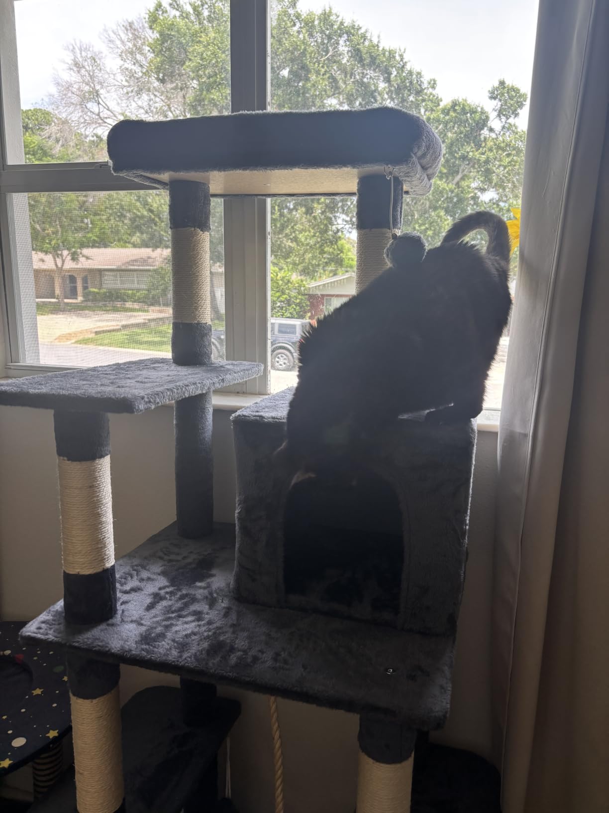 Yaheetech 63in Sturdy Large Cat Tree for Indoor Heavy Cats, Tall Tower customer photo 1