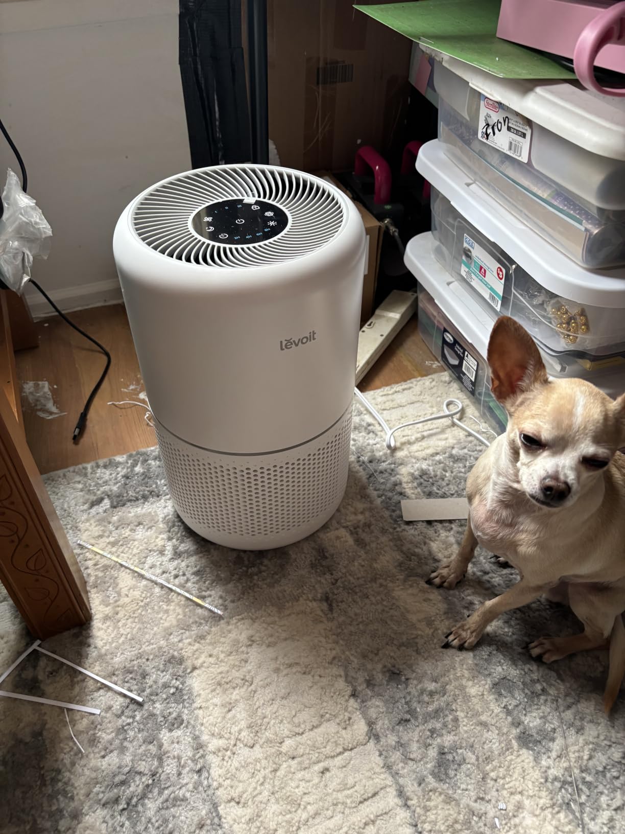 Levoit Air Purifier for Home Pets Hair Allergens in Bedroom Quiet Purifiers customer photo 1