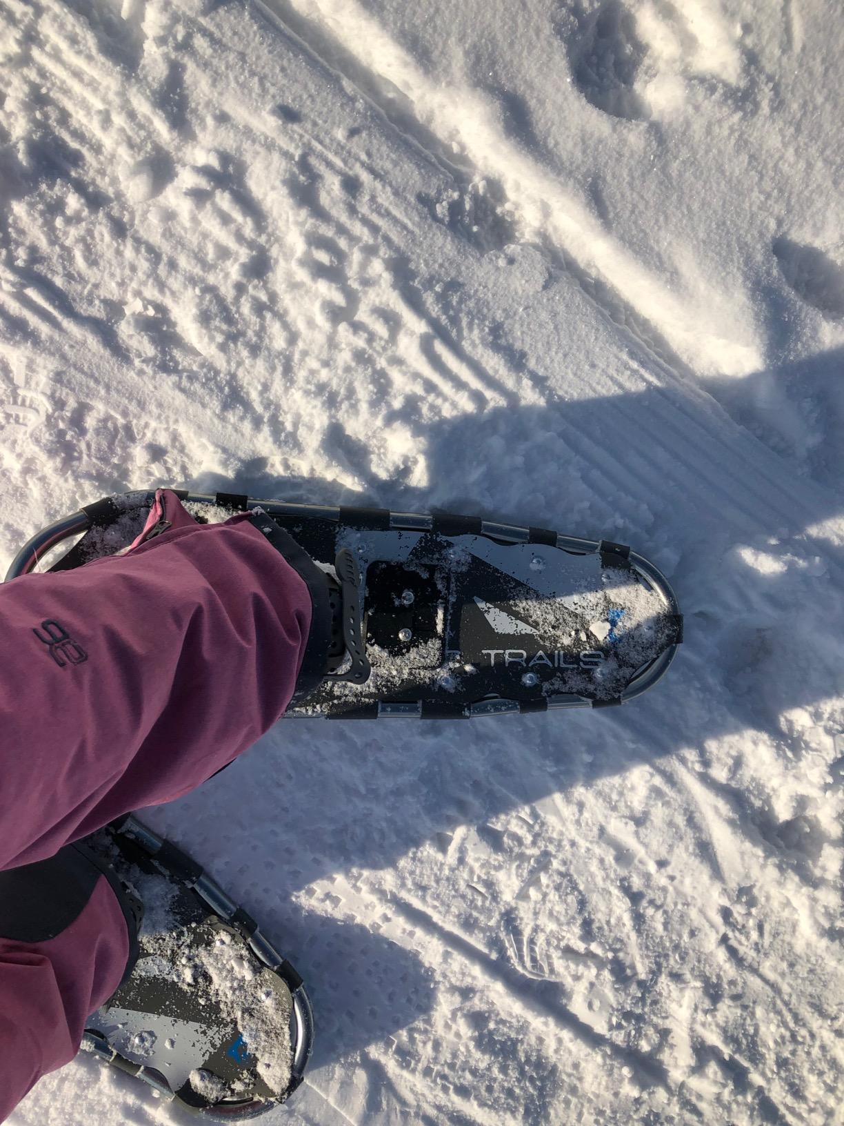 Franklin Sports Arctic Trails Snowshoes for Men + Women - Lightweight Aluminum Snowshoes for Adults customer photo 2