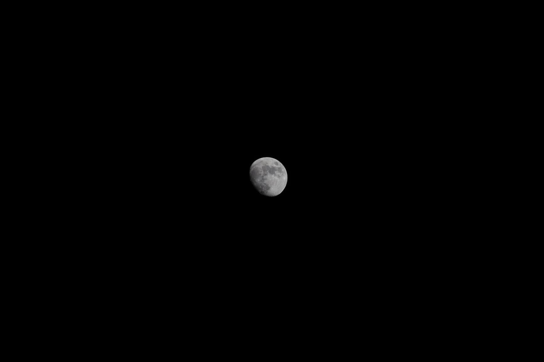 Canon RF70-200mm F2.8 L is USM Lens customer photo 2
