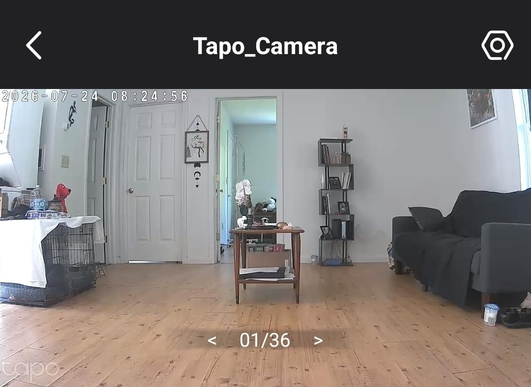 Tapo 1080p Pan/Tilt Security Camera for Baby Monitor, Pet Camera, C200 customer photo 1