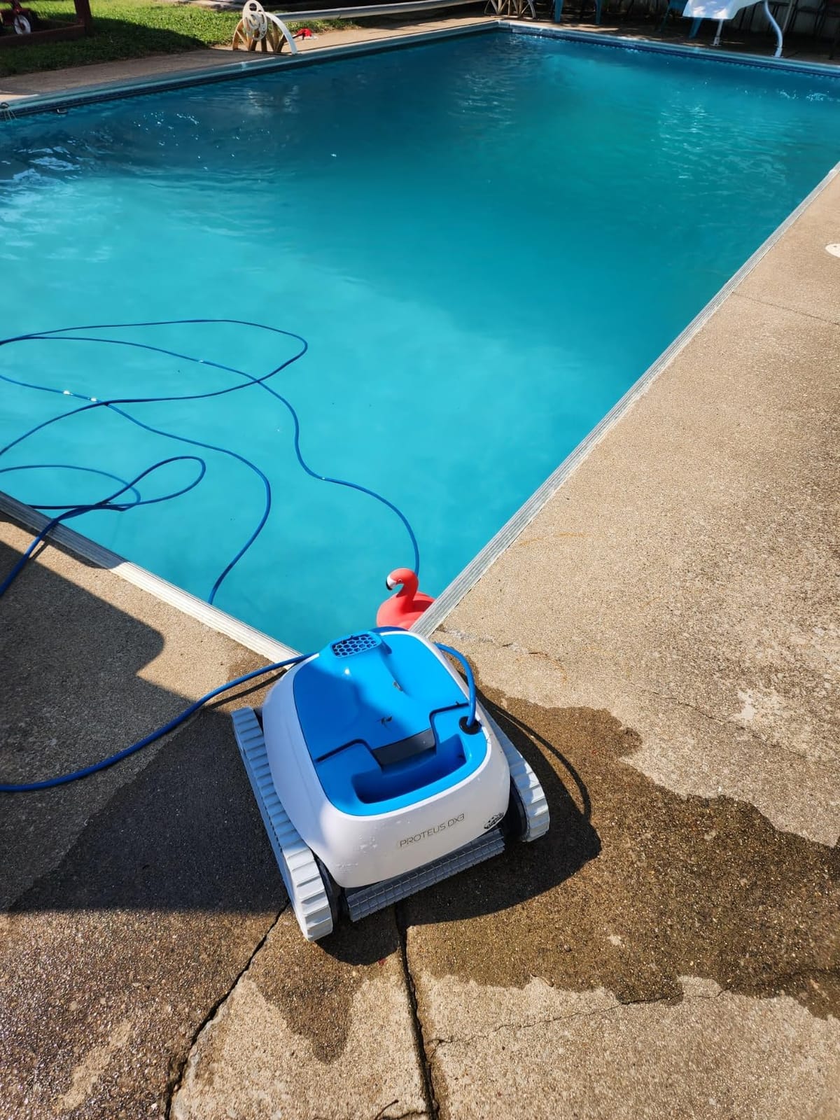 Dolphin Proteus DX3 Automatic Robotic Pool Vacuum Cleaner, Wall Climbing, Active Scrubber Brush, Ideal for In-ground Pools up to 33 FT in Length customer photo 2