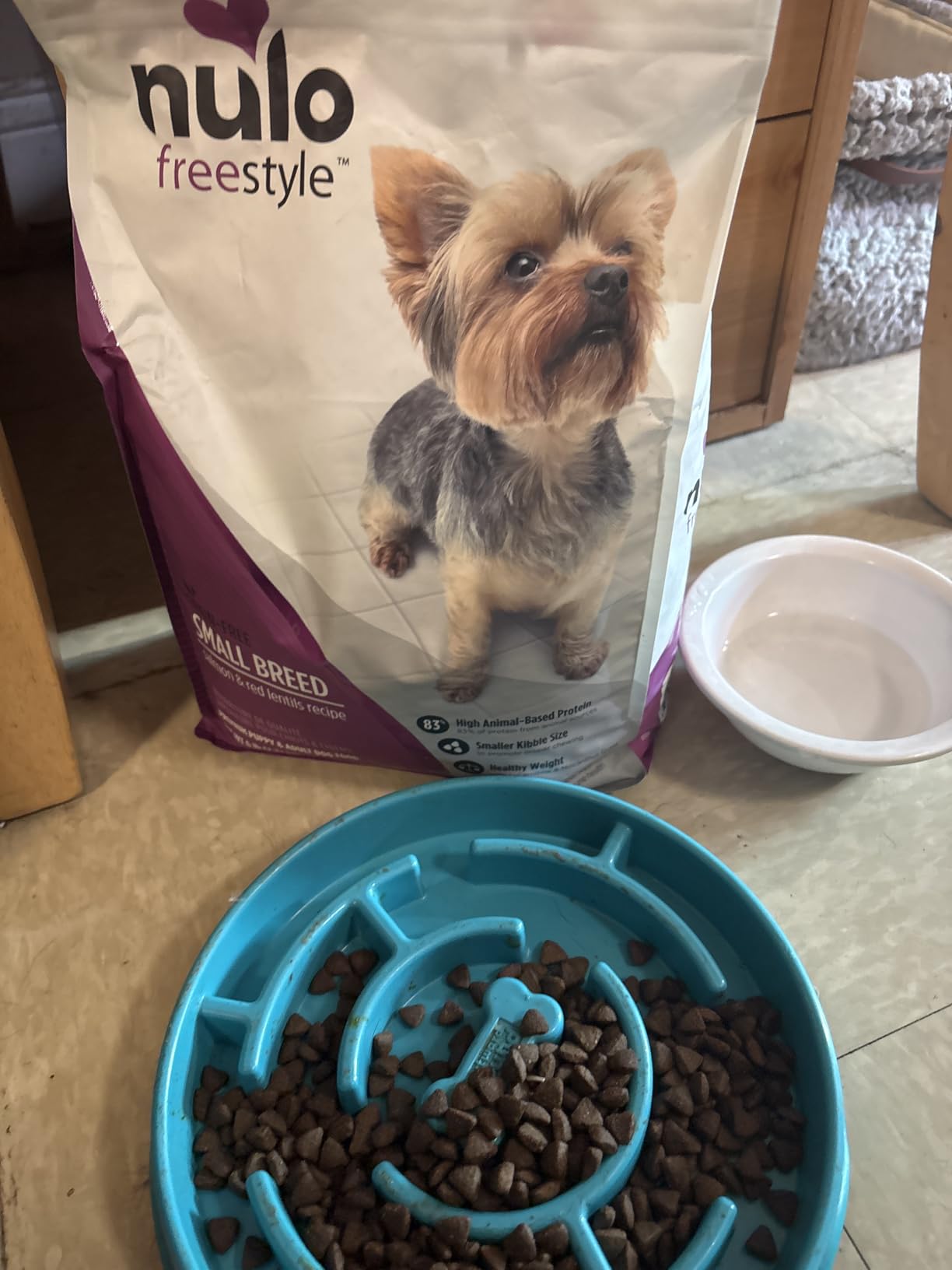 Nulo FreeStyle Small Breed Dog Food Dry - Salmon & Lentils, Puppy & Adult Grain Free Dog Food, Natural, High Protein, Smaller Sized Kibble with BC30 Probiotic for Healthy Digestion Support, 6lb Bag customer photo 2