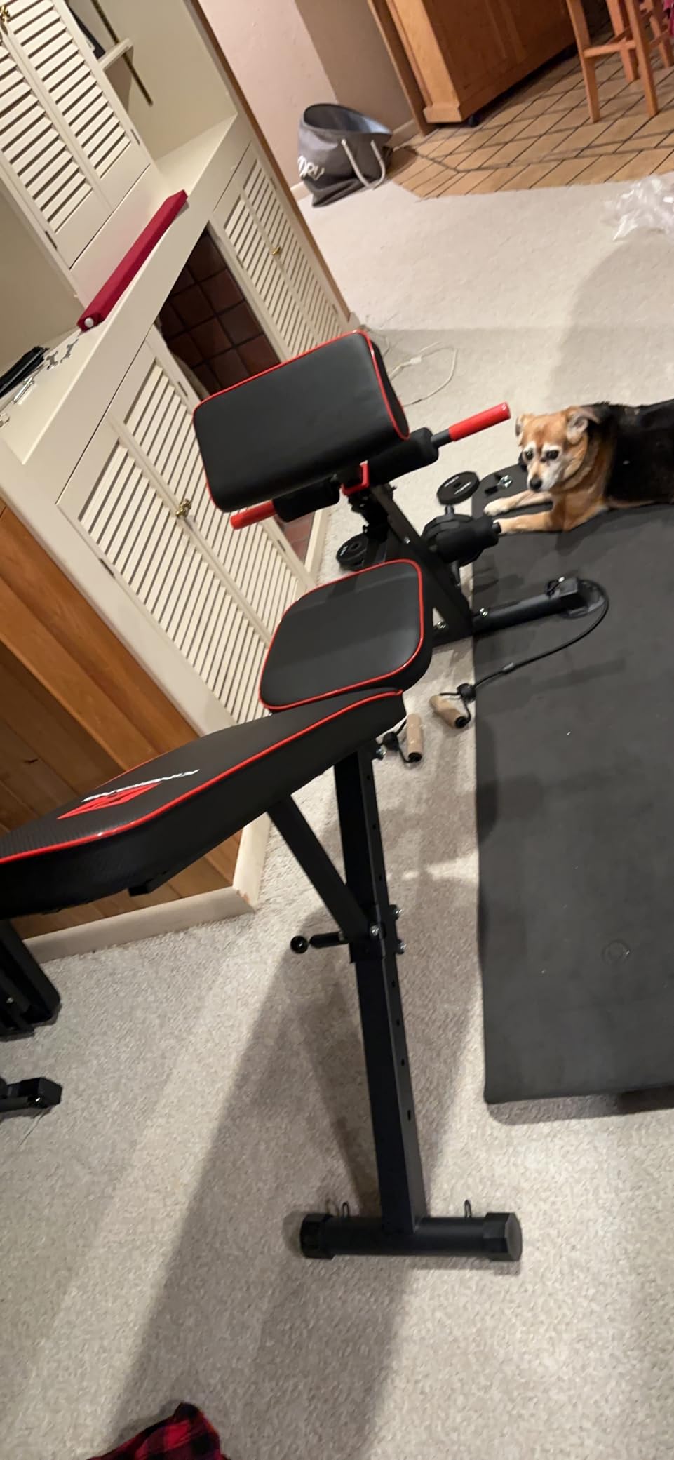 K KiNGKANG Adjustable Weight Bench, Foldable Home Gym, 1050lbs Capacity customer photo 2