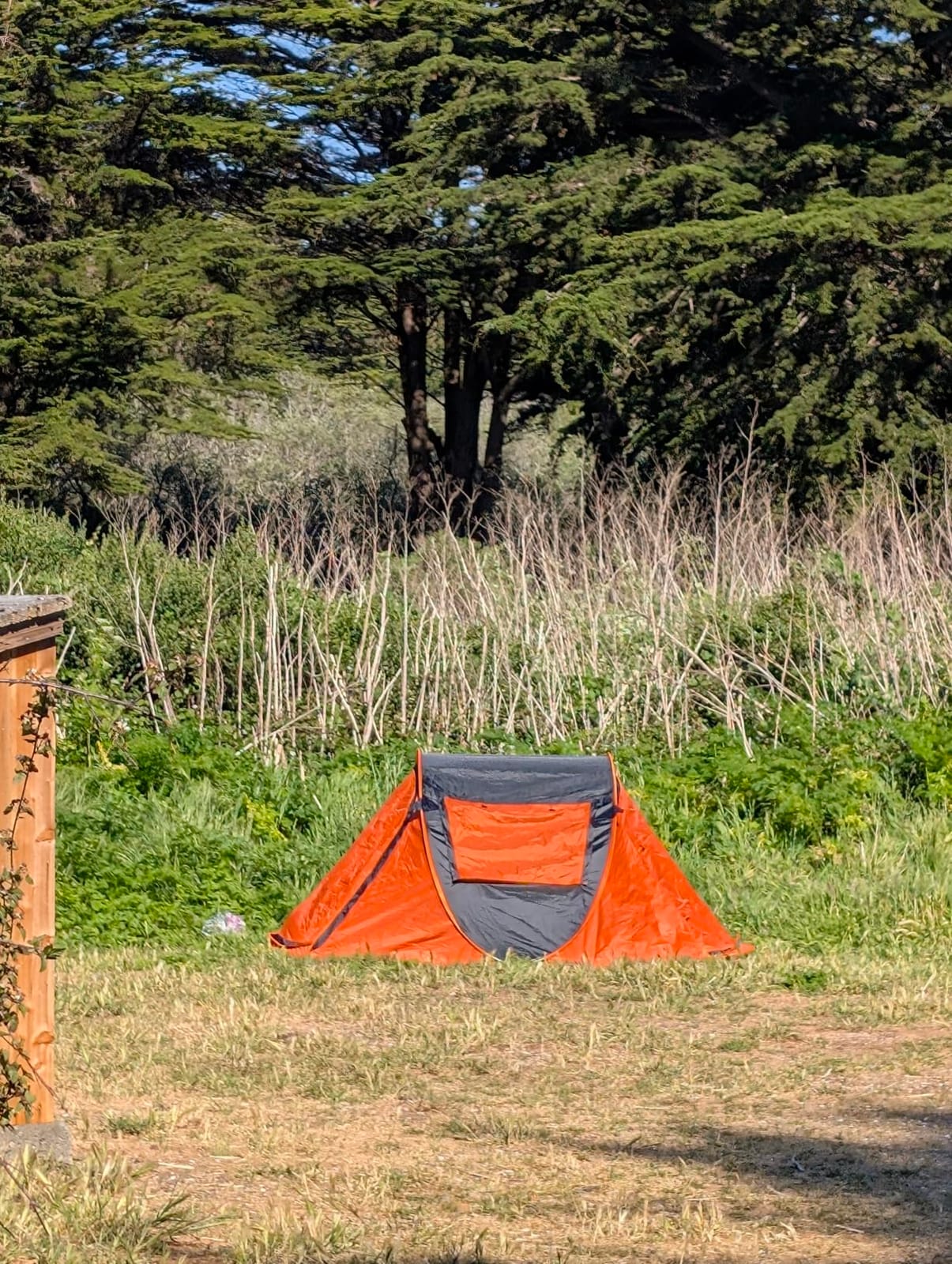 EchoSmile Instant Pop Up Camping Tent, 2/4/6 Person Easy Setup Tent customer photo 1