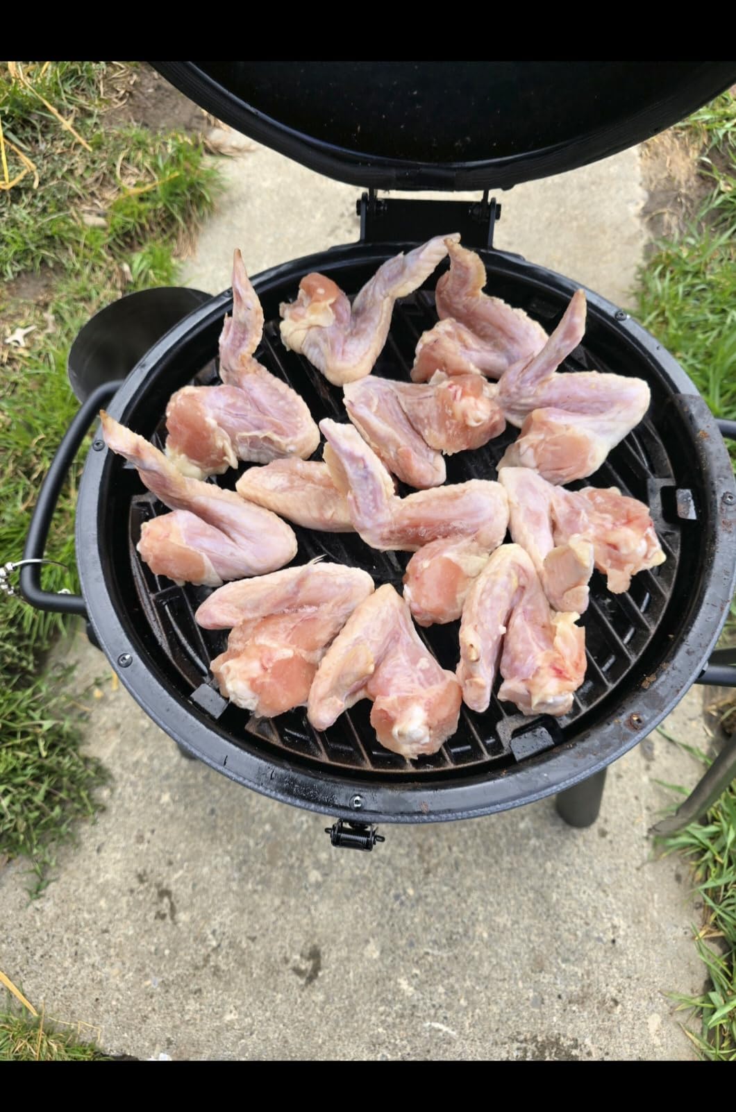 Char-Griller AKORN Jr. Portable Kamado Charcoal Grill and Smoker, Triple-Wall Insulated Steel with Cast Iron Grates and Locking Lid, 155 Sq. In. Cooking Area, Ash customer photo 1