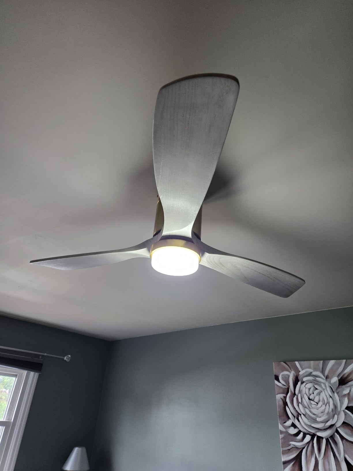 Sofucor 52 Inch Wood Ceiling Fans with Lights and Remote, Low Profile customer photo 1
