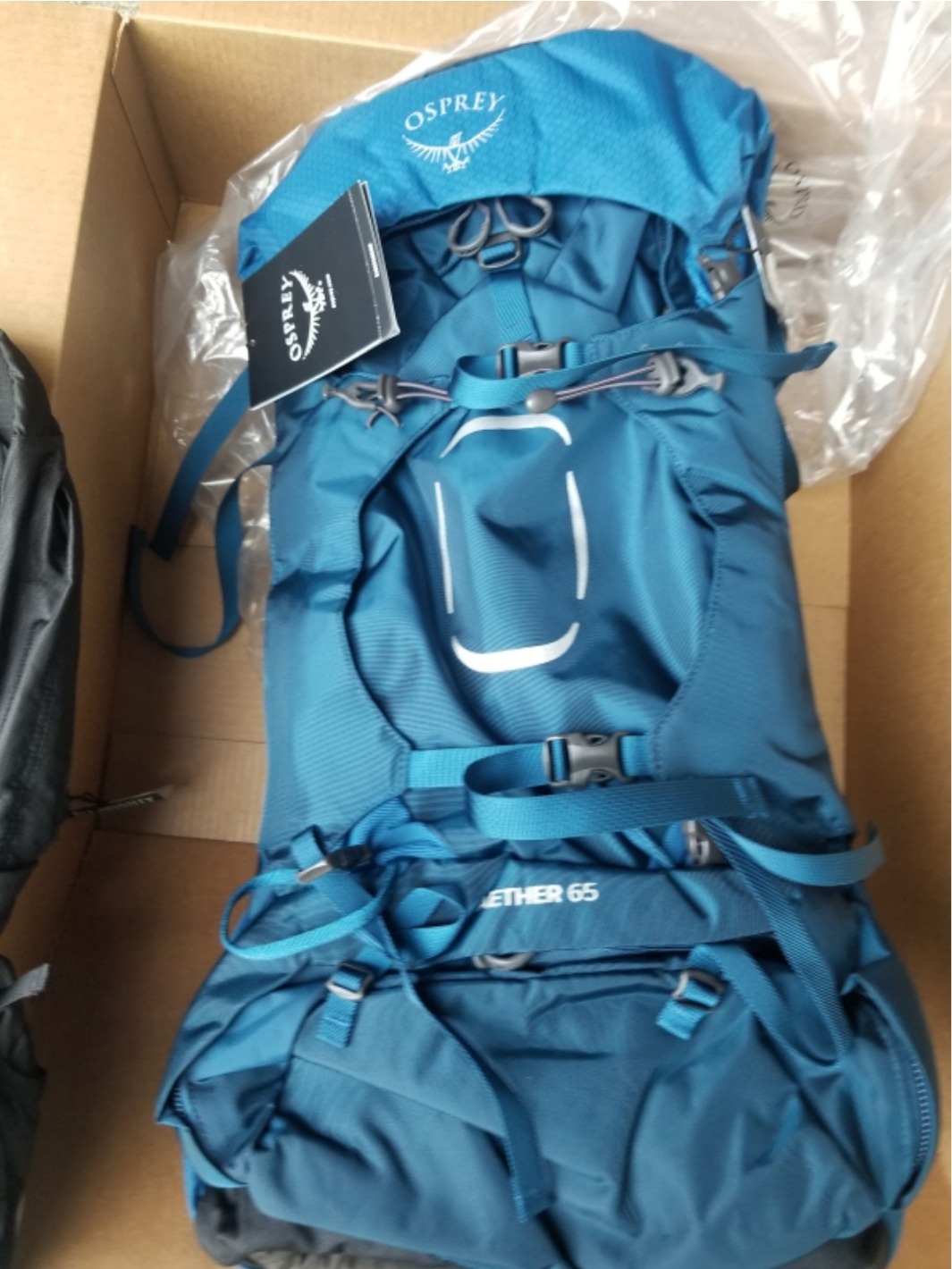 Osprey Aether 65L Men's Backpacking Backpack, Green L-XL customer photo 1