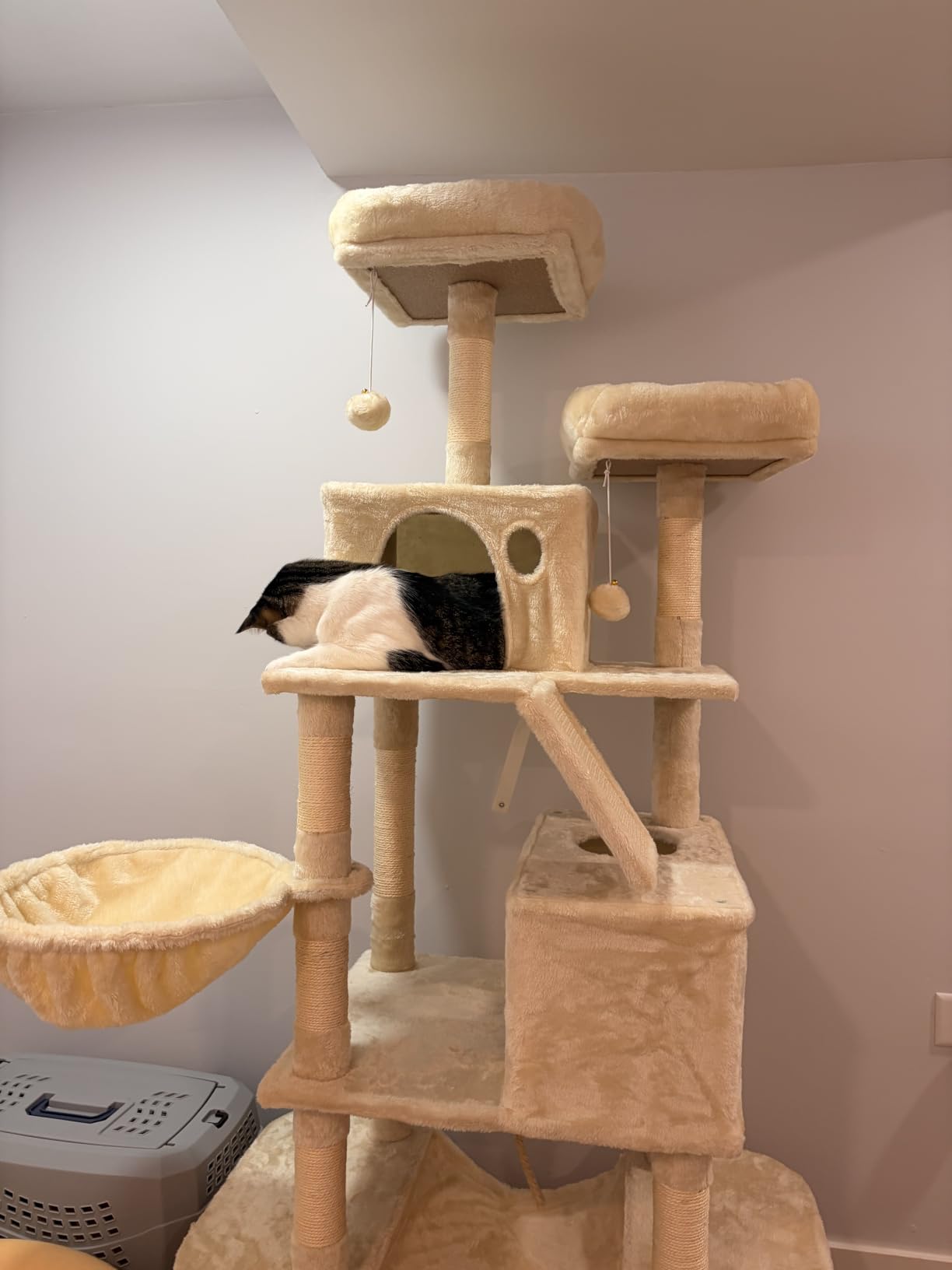 Feandrea Cat Tree, 81.1-Inch Large Cat Tower, Multi-Level Condo, Smoky Gray customer photo 2