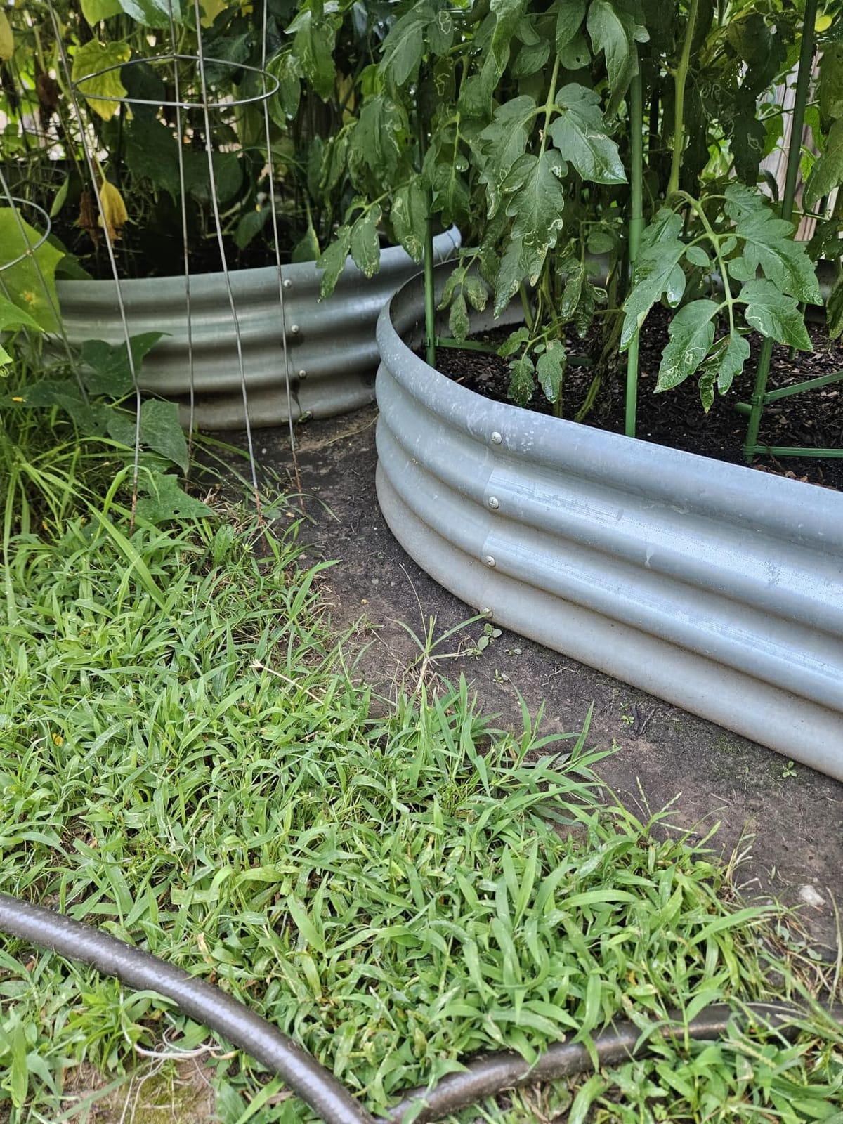 Land Guard Galvanized Raised Garden Bed Kit, Galvanized Planter Garden Boxes Outdoor, Oval Large Metal Raised Garden Beds for Vegetables………… customer photo 2