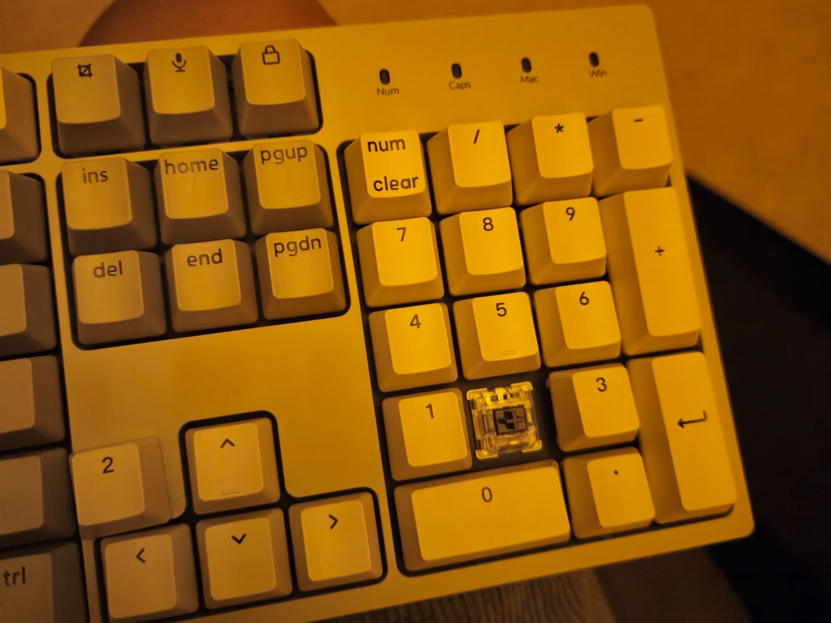 Keychron C2 Full Size Wired Mechanical Keyboard, Brown Switch, Retro customer photo 2