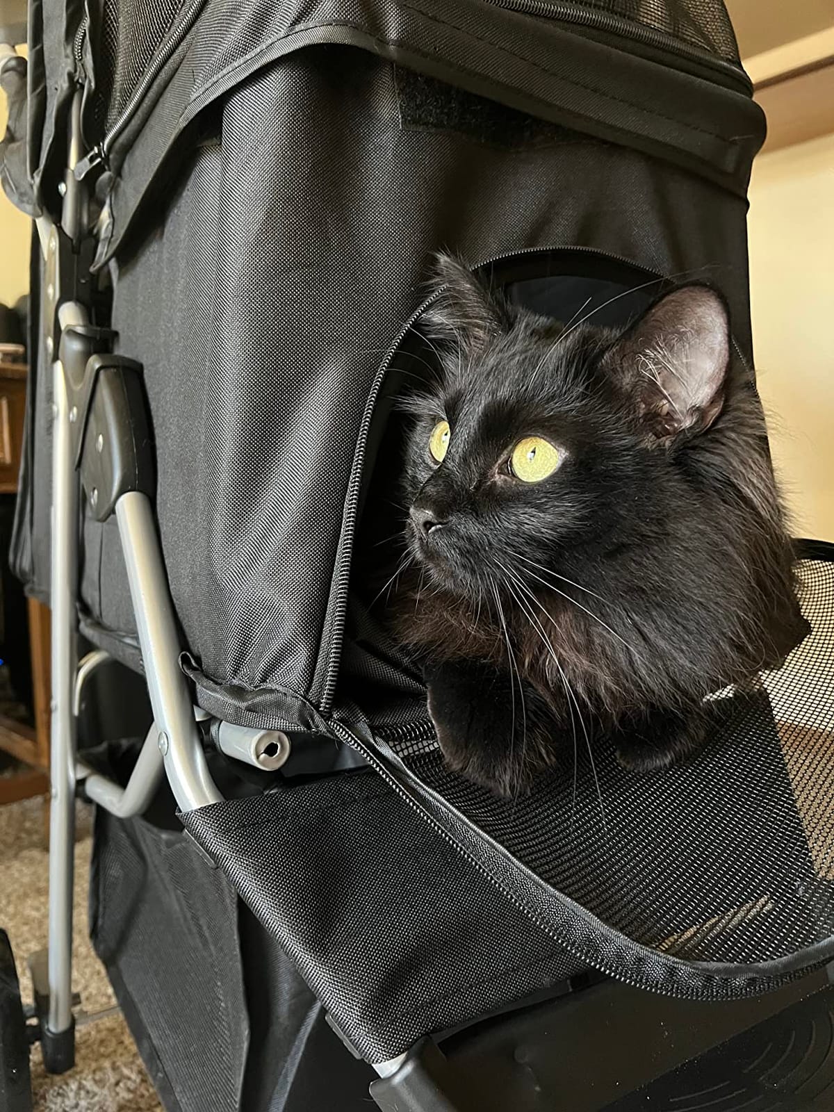 Foldable Pet Stroller for Cats and Dogs 3 Wheels Carrier Strolling Cart with Weather Cover, Storage Basket + Cup Holder (Black) customer photo 2