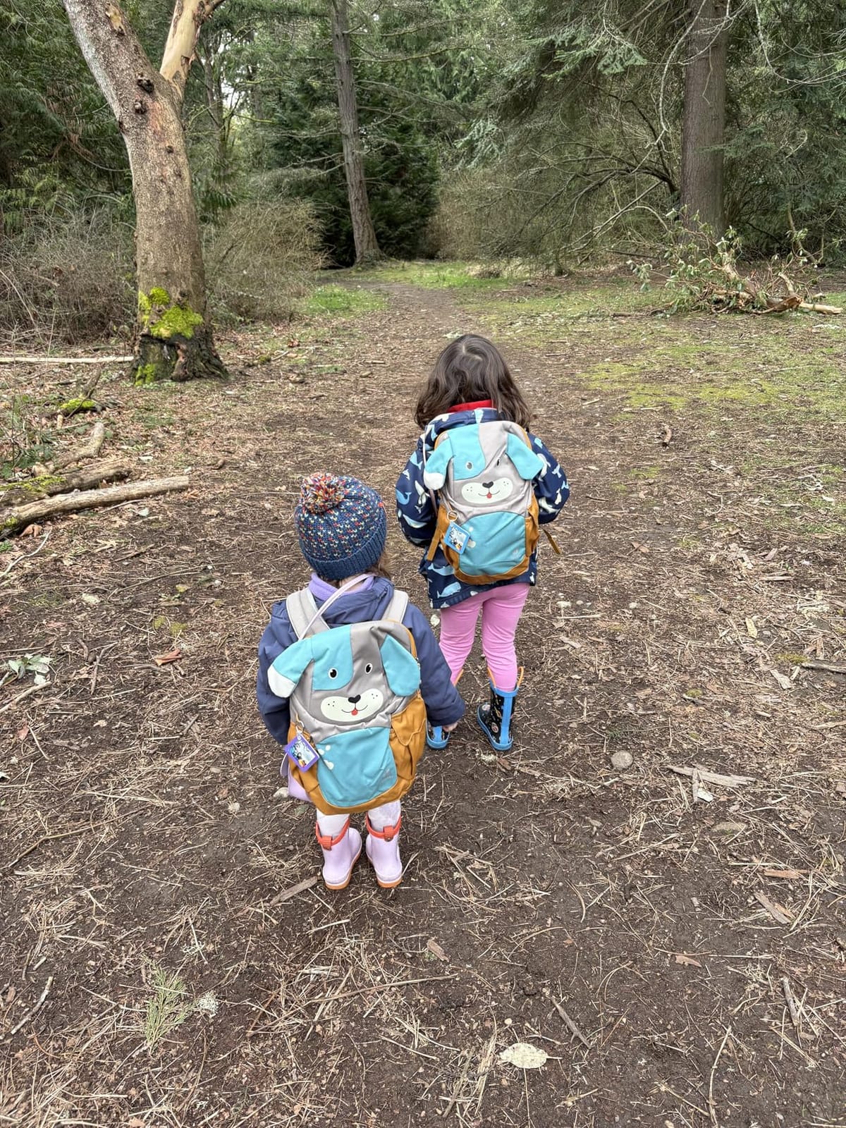 Deuter Kikki Kids' Backpack, Toddler Daypack for School, Travel & Hiking, Lightweight Bag for Boys & Girls Ages 3+ - Fern-Alpinegreen customer photo 1