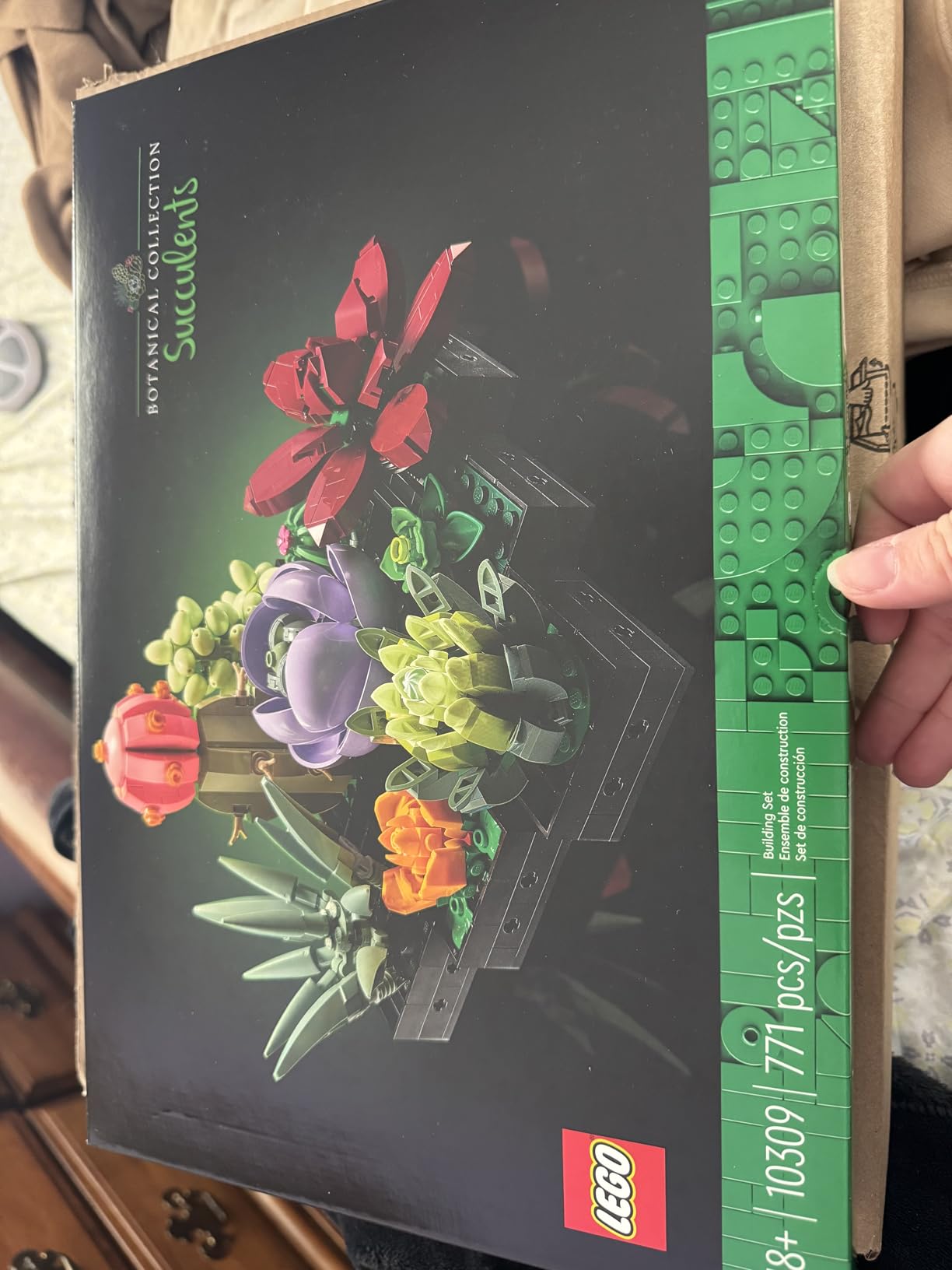 LEGO Botanicals Succulents 10309 customer photo 1