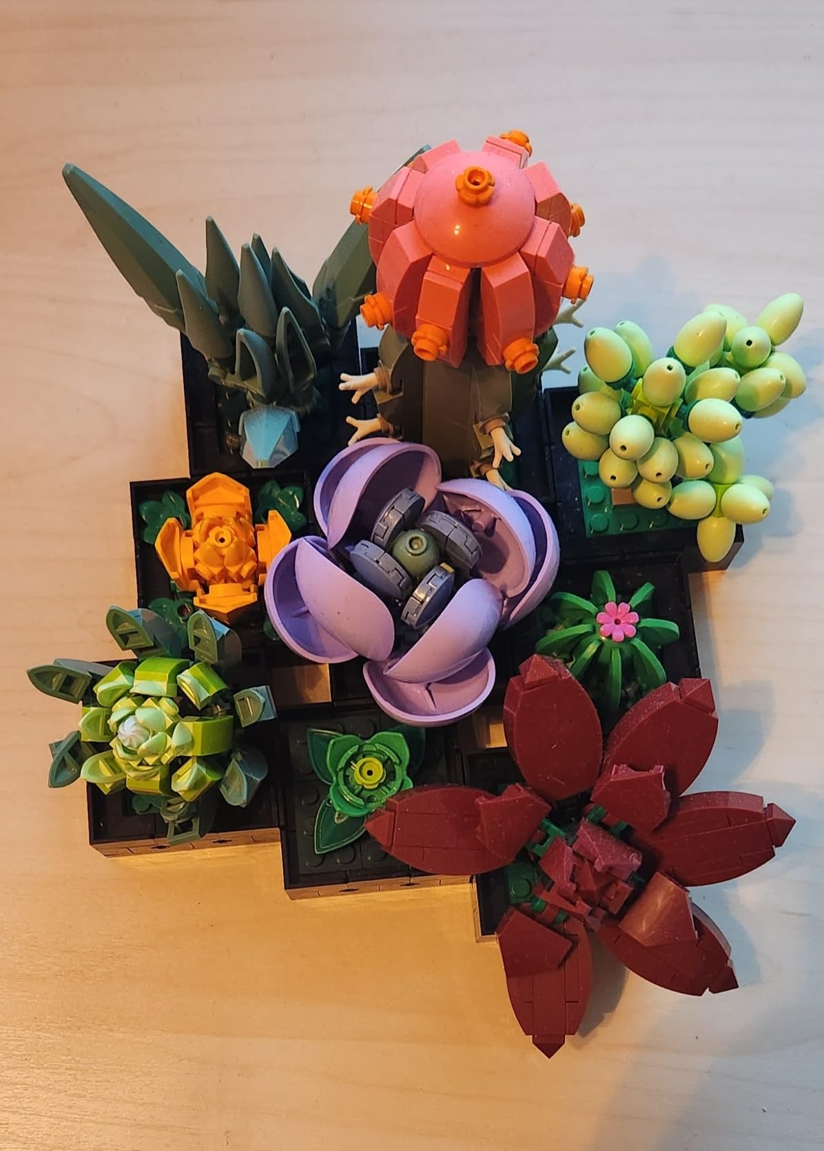 LEGO Botanicals Succulents 10309 customer photo 2